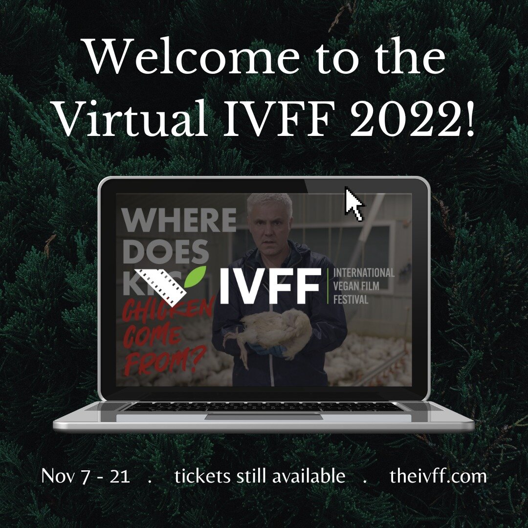 The International Vegan Film Festival Online Virtual Screening starts today! The IVFF online virtual Festival featuring 44 films from 8 countries, including 12 feature films and 32 short vegan-themed films, will run from November 7-21, 2022. Tickets 