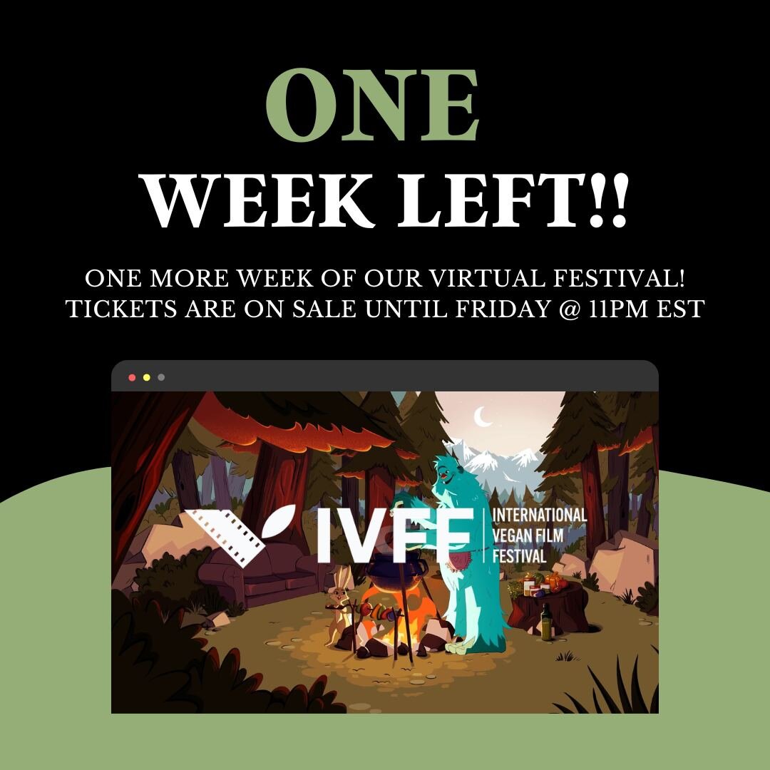 You have one more week to attend our virtual festival, ending on Nov. 21!! Tickets will be on sale until Friday, Nov. 18! Ticket link in bio!
.
.
.
#tickets #veganfilmfest #veganfilmfestival #filmfestival #veganfilm #vegandocumentary #documentary #ve