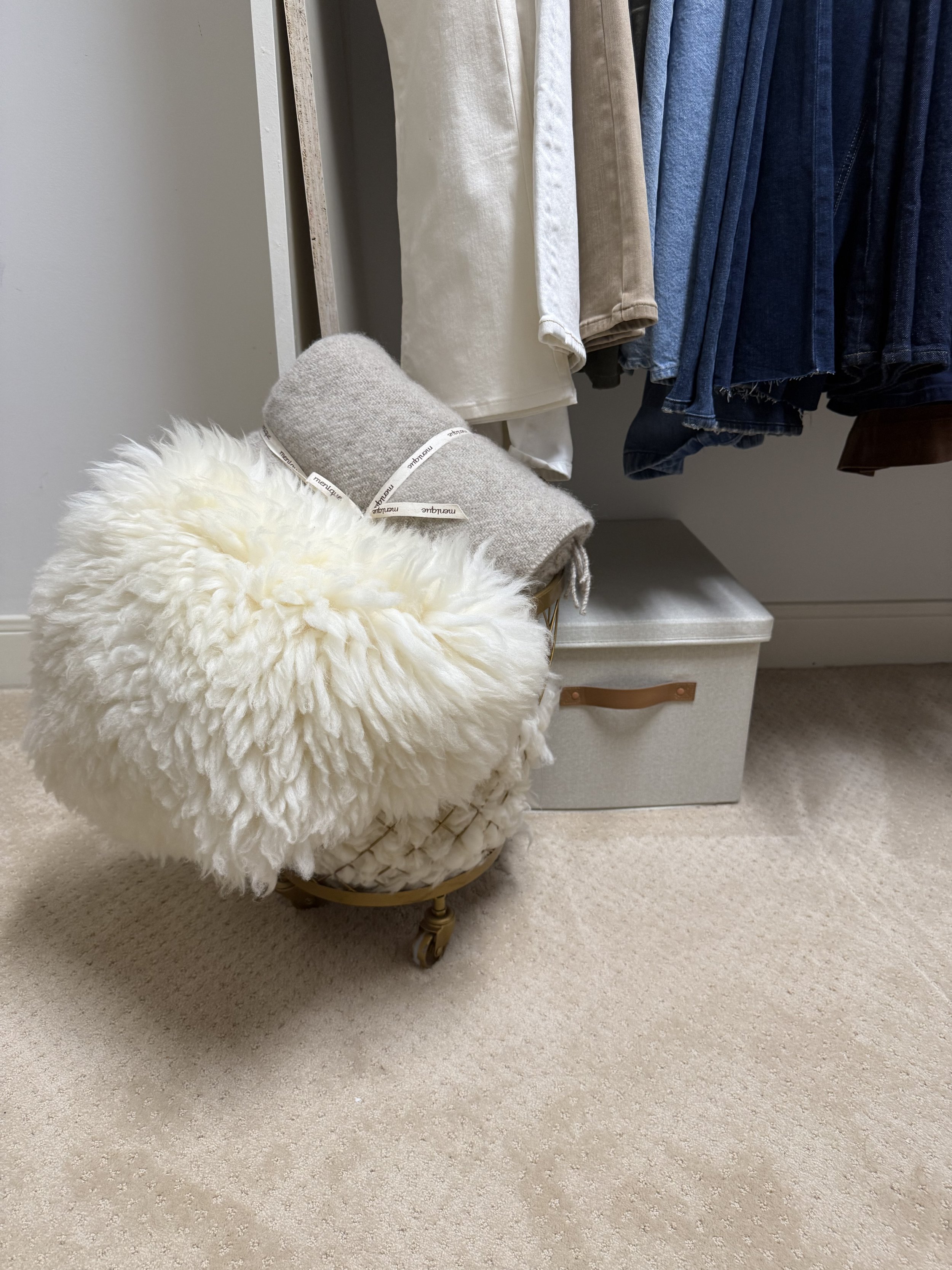 Styled closet by Luxury Pro Organizer in West University Houston.jpeg