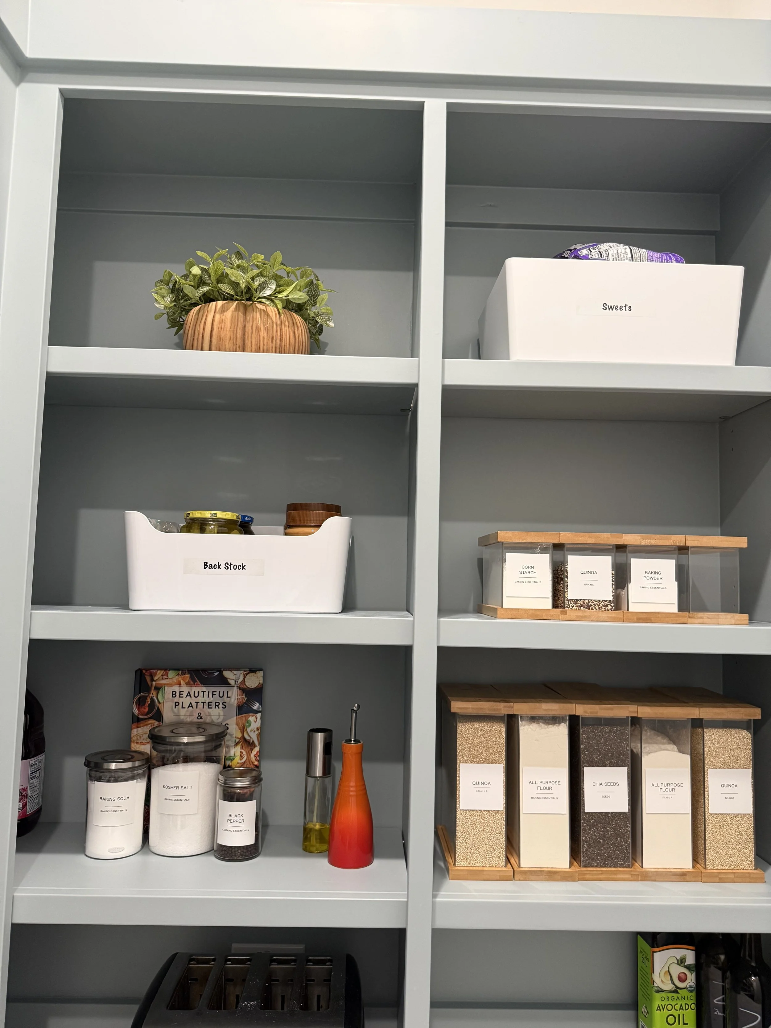 Kitchen pantry with shelves containing a potted plant, labeled storage containers, spices, and baking ingredients.