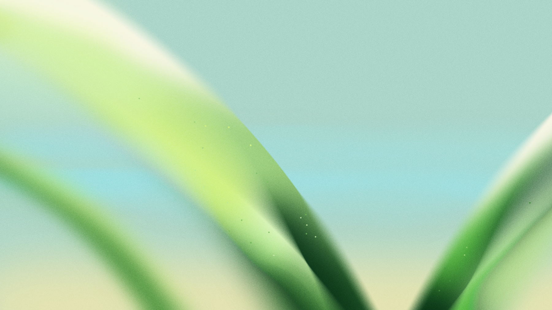 Close-up of blurred green and yellow leaves against a light blue background.