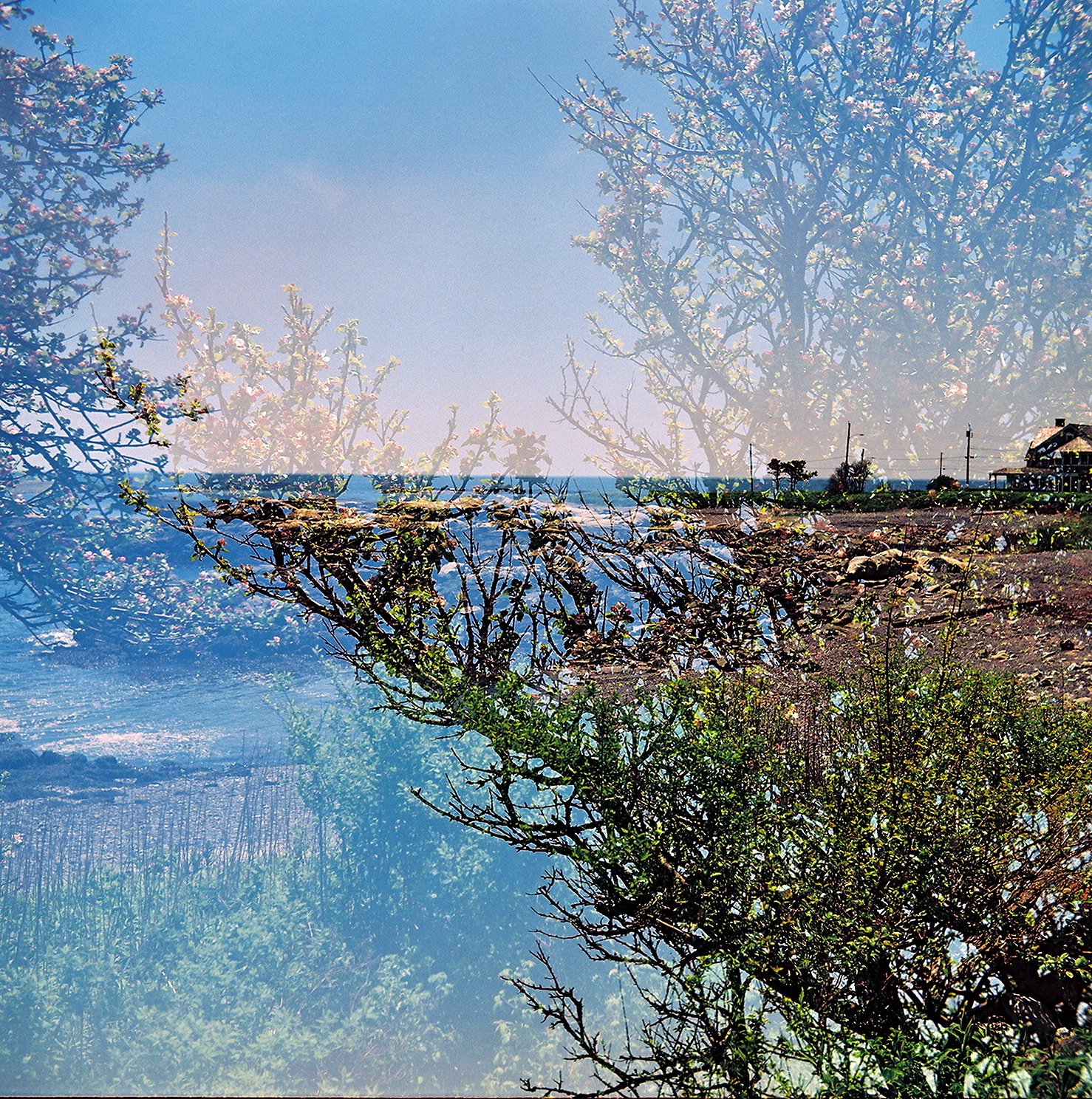 6153929901_833ca869ce_o_1478.jpg