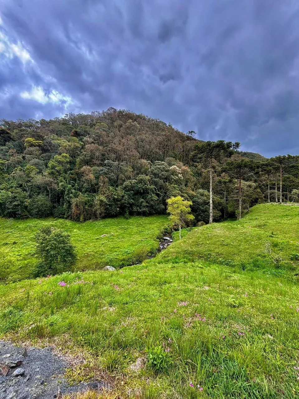 WhatsApp Image 2026-02-27 at 22.05.30.jpeg