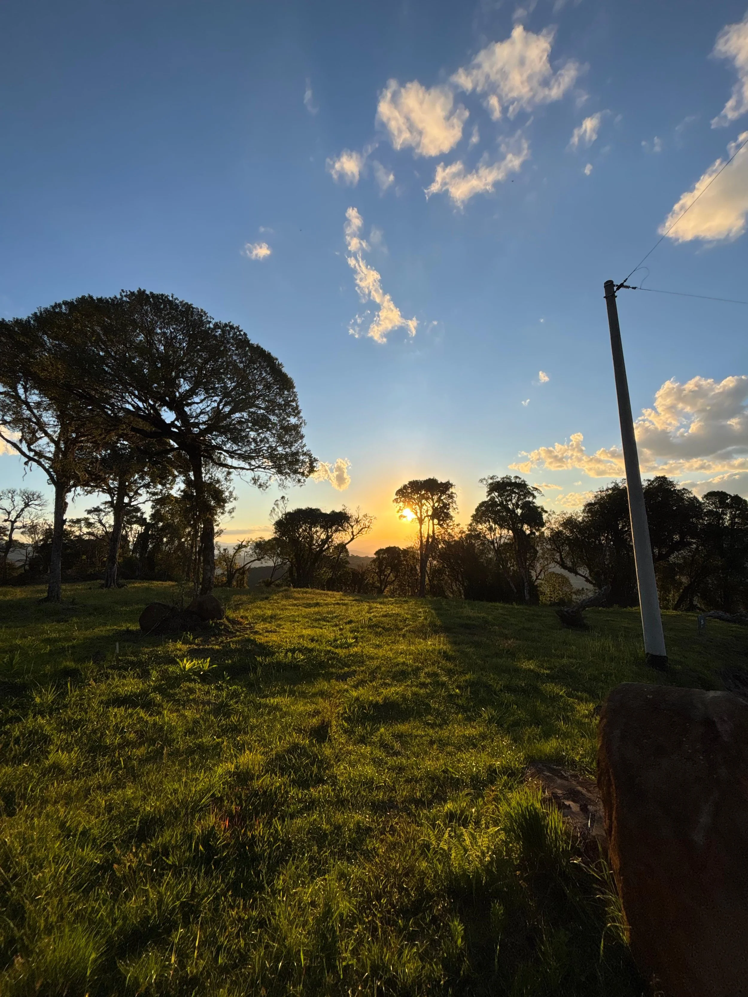 WhatsApp Image 2026-02-27 at 22.18.00 (1).jpeg