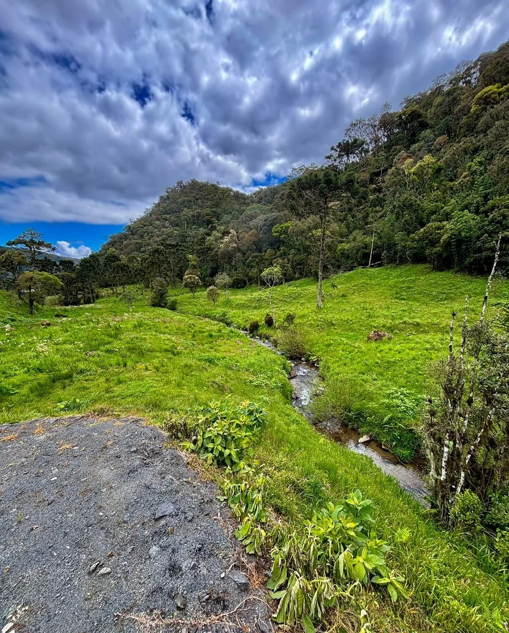 WhatsApp Image 2026-02-27 at 22.05.30 (1).jpeg