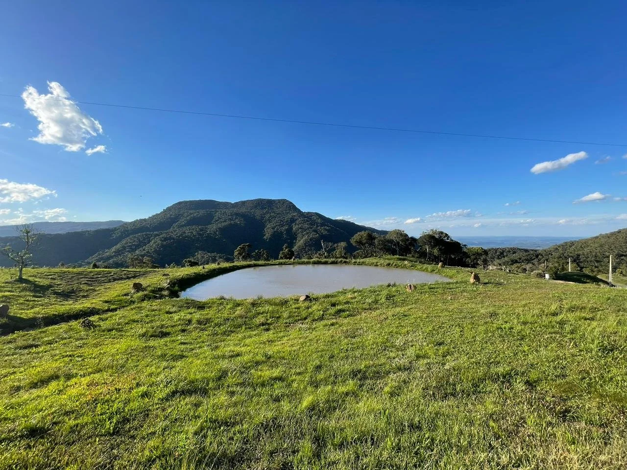 WhatsApp Image 2026-02-27 at 22.16.07.jpeg