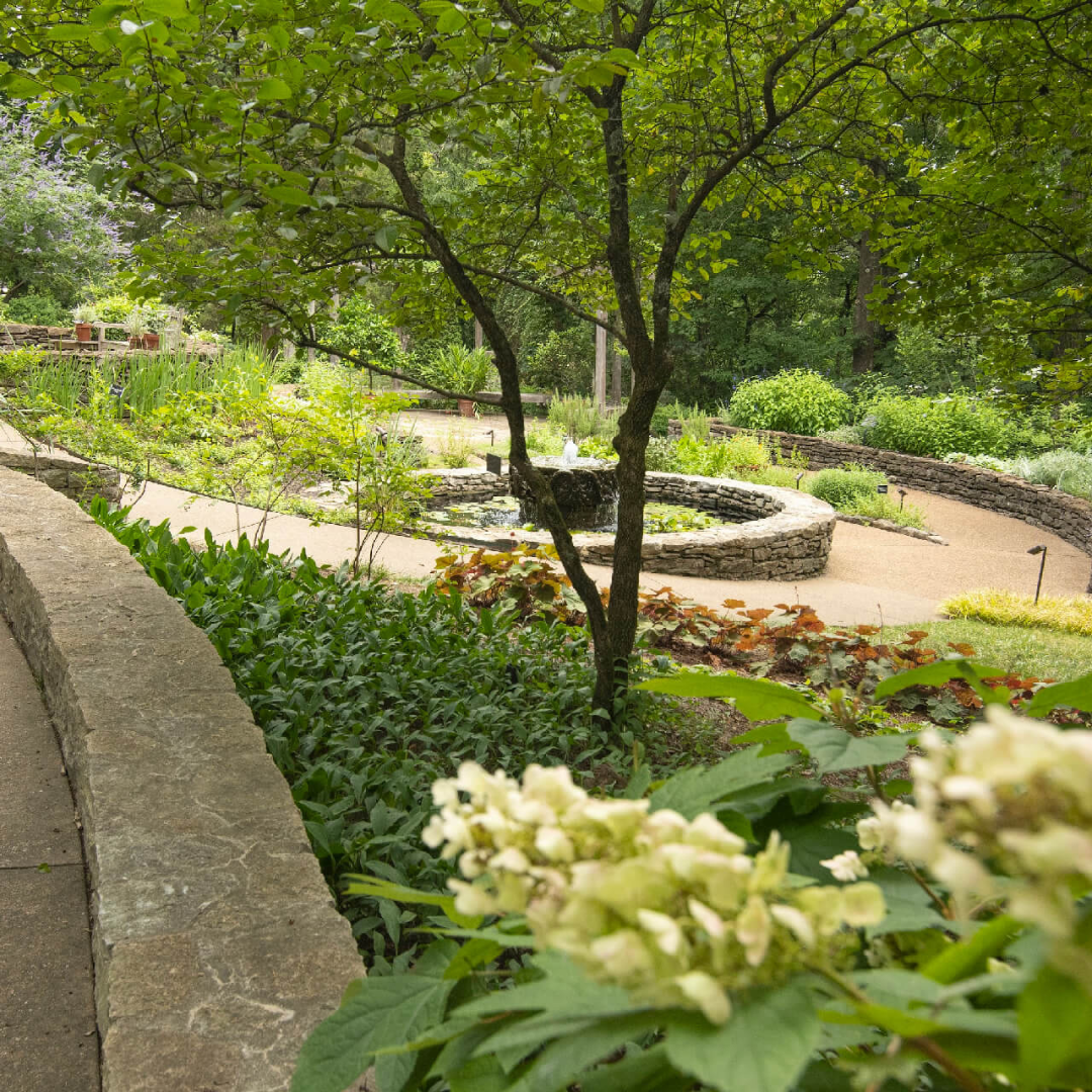 A lush garden with green plants, a small pond, and a pathway surrounded by stone walls and trees.