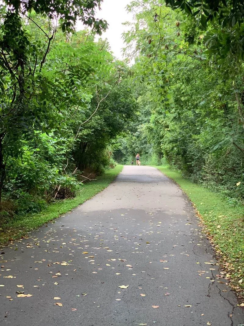 A paved walking trail in a green park, with trees and bushes on both sides. Two people are seen walking in the distance.