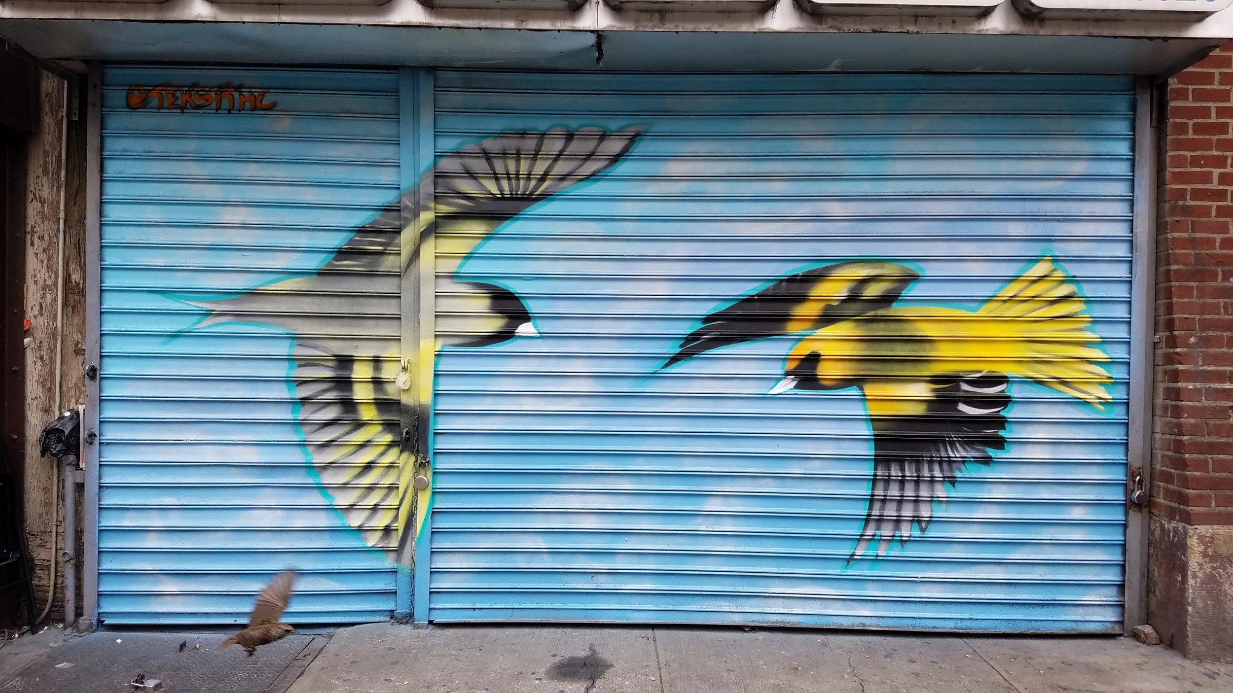Audubon Society in NYC