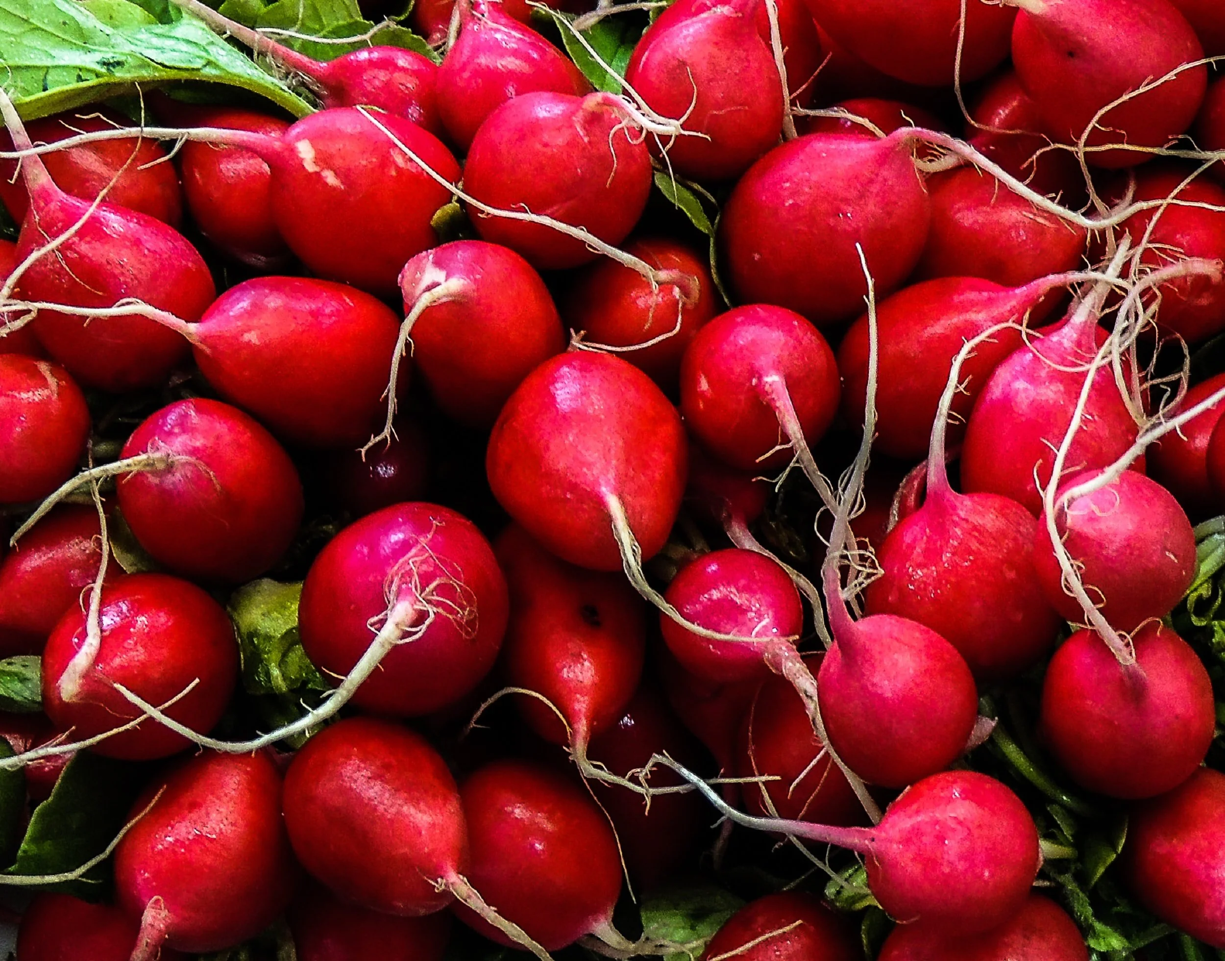 unsplash-image-EjICVrzSobA.jpg