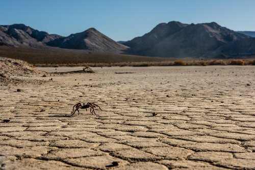 Death+Valley+National+Park+-+mark+campbell+productions-8.jpg