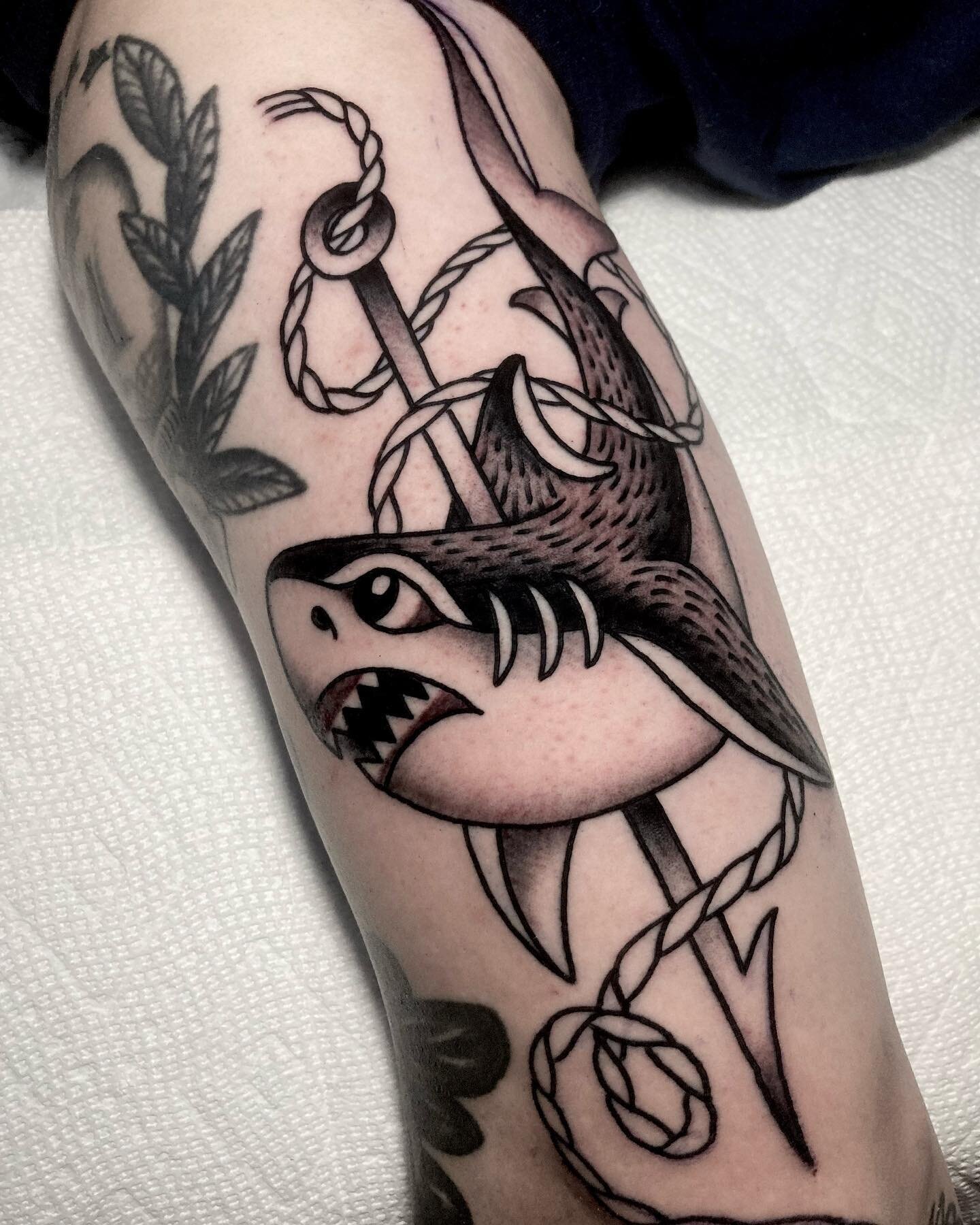 A couple of sharkie-poos for the boys @hotlinetattoo 

**************************************
To get on my waitlist, click the link in my Bio. If you're looking for something small, or a walk-in tattoo, feel free to call the shop at
508-827-7911 to s