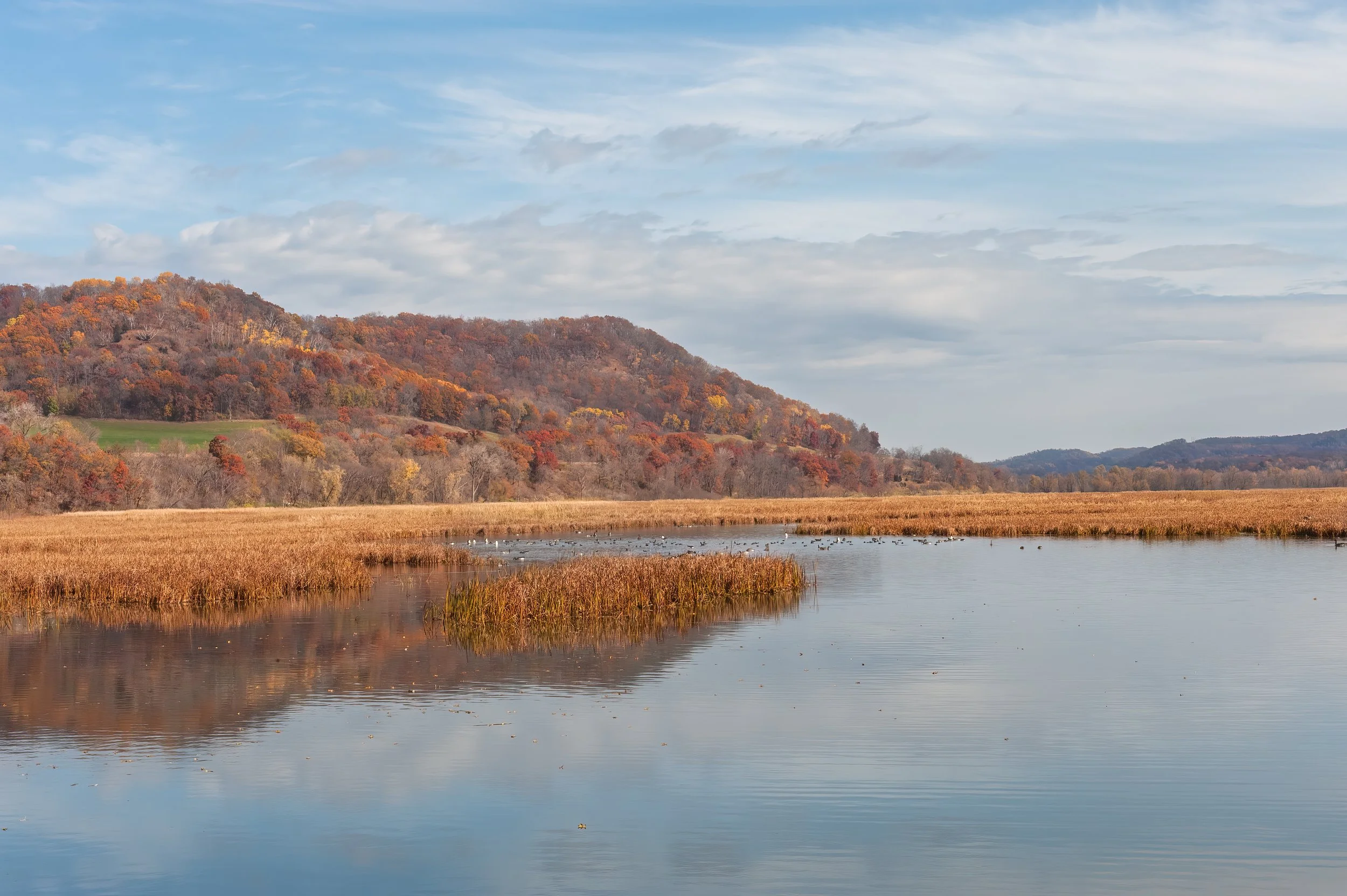 WI Marsh in Autumn.jpg
