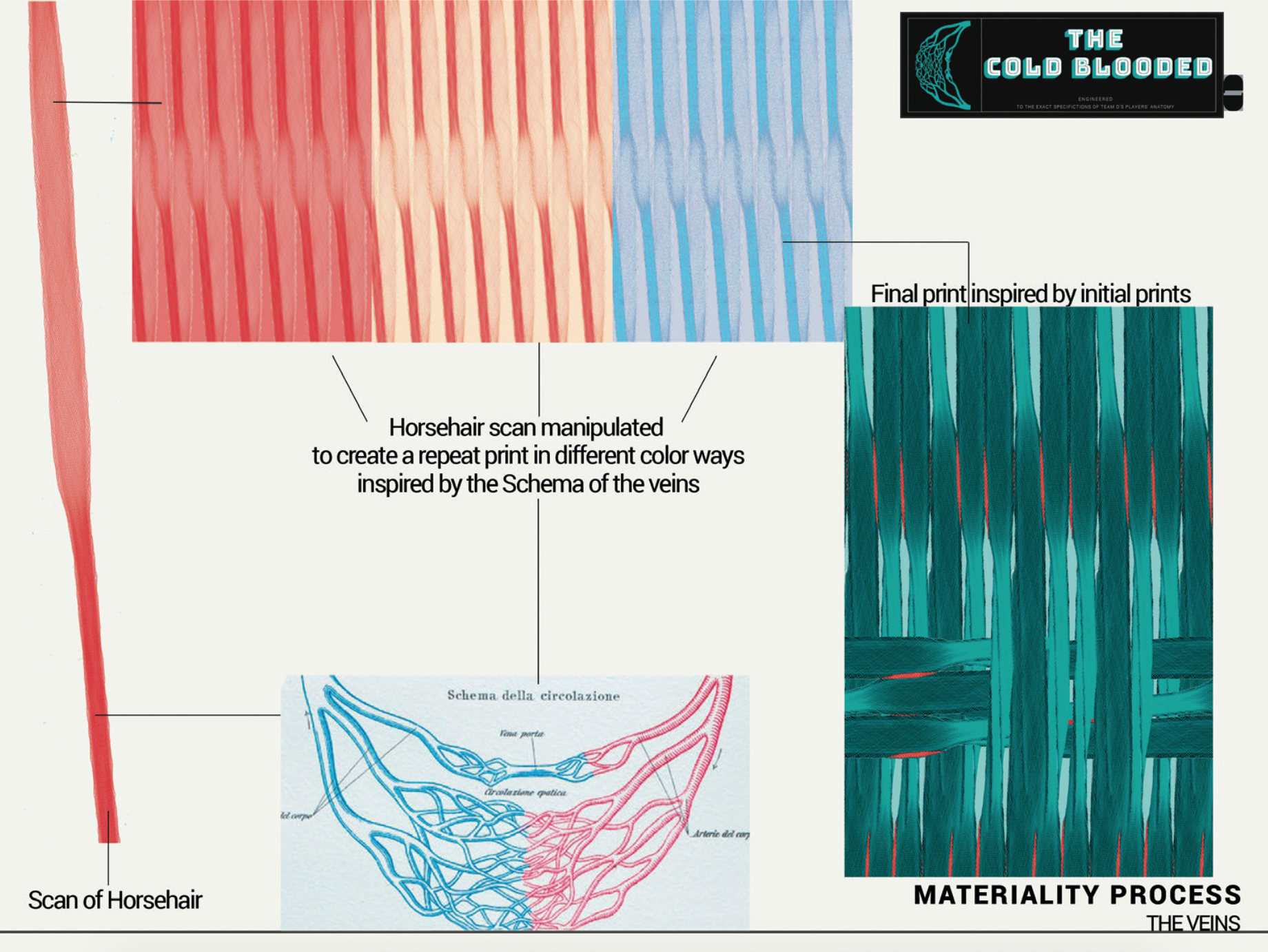 Screen Shot 2025-12-12 at 10.12.00 AM.png