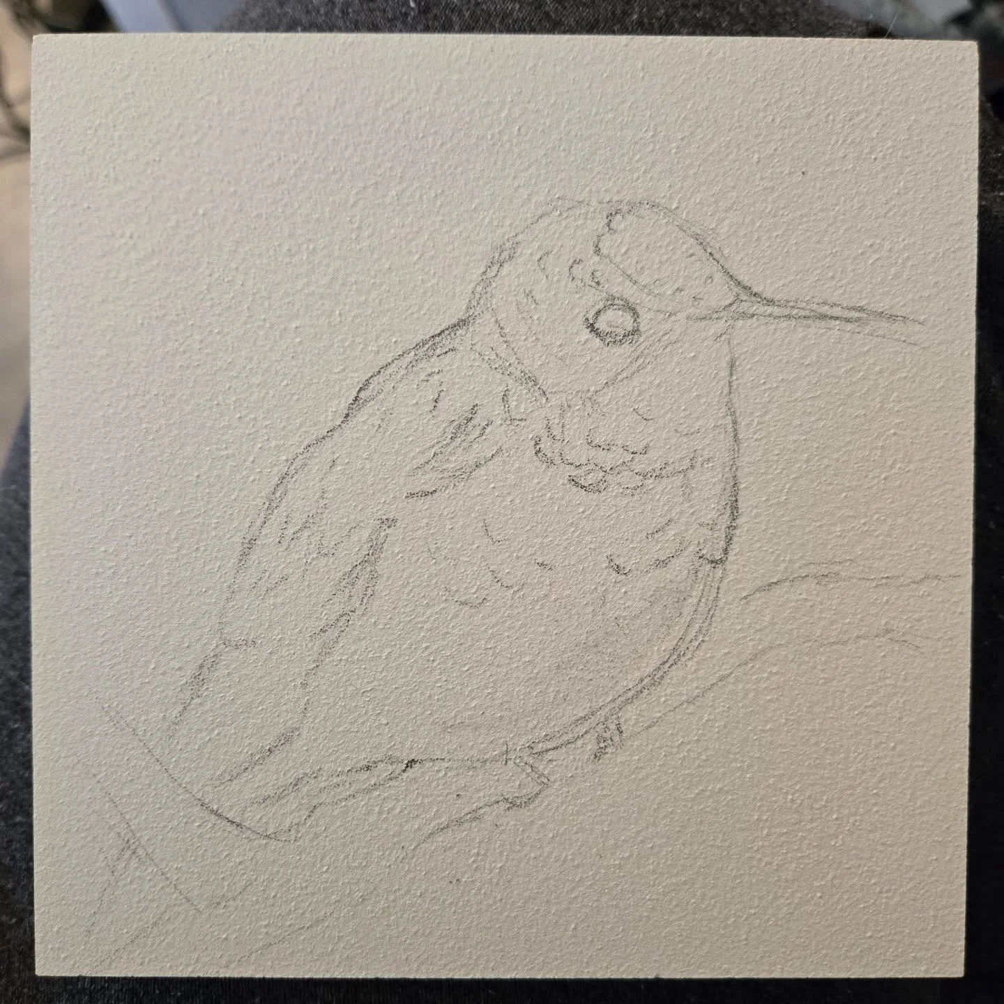 For not having done any art in months, glad to see I've still got it on the first try.

Well, the lineart anyway. First time using Aquabord and gouache, so wanted to do something colorful to experiment.

Based on a photo by Dominic Mulholland.

#birb