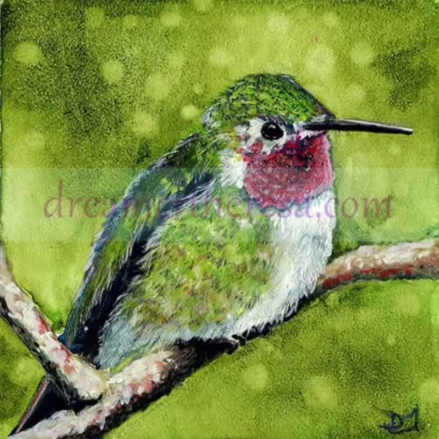 Hey, fam!  Turns out I never actually posted the finished image of this guy.  The reference photo was taken by Dominic Mulholland.

This is watercolor and gouache on board.  First time using both gouache and Aquabord.  I liked the gouache, I hated th