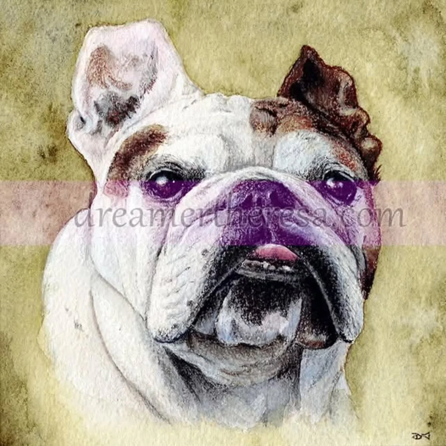 Now that her people have received her -
Here's Porkchop, my favorite celebrity. ^_^

Graphite, watercolor, and color pencil on paper.

#bulldog #art #painting #drawing #dog