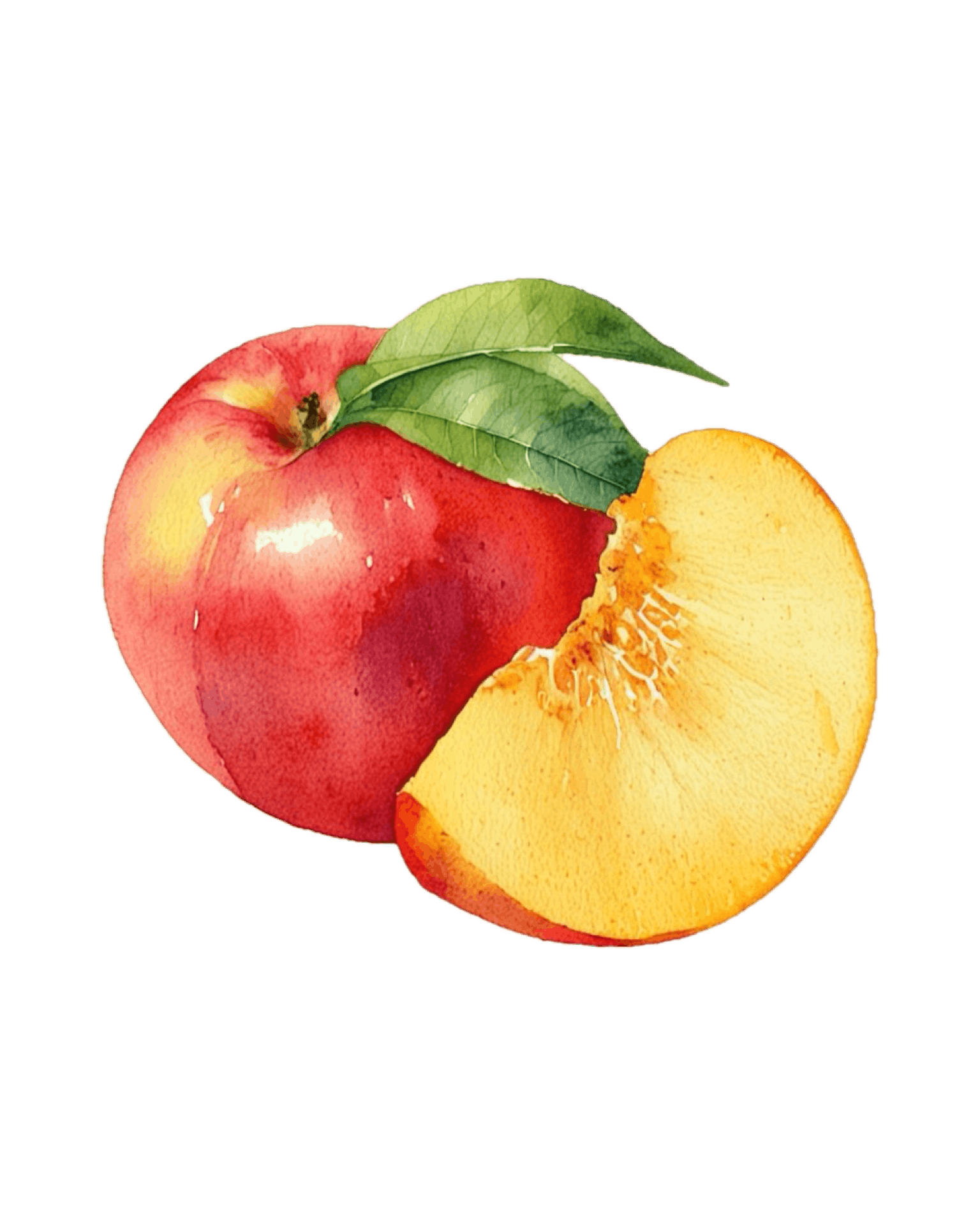 Watercolor painting of a whole sweet peach with green leaves and a sliced yellow peach piece showing its inside.