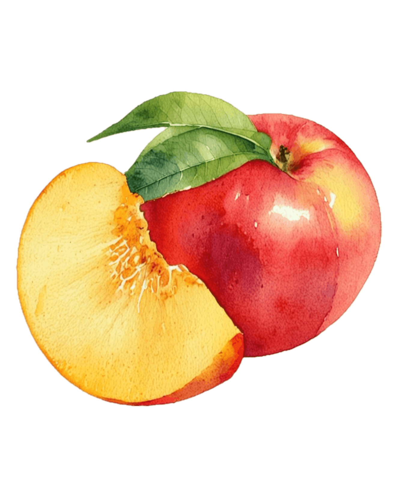 Watercolor painting of a whole sweet peach with green leaves and a sliced yellow peach piece showing its inside.