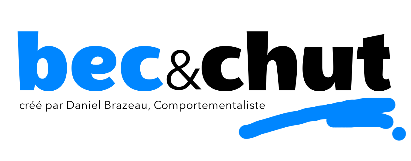 Logo bleu avec le mot 'bec' et une illustration d'un bec d'oiseau stylisé.