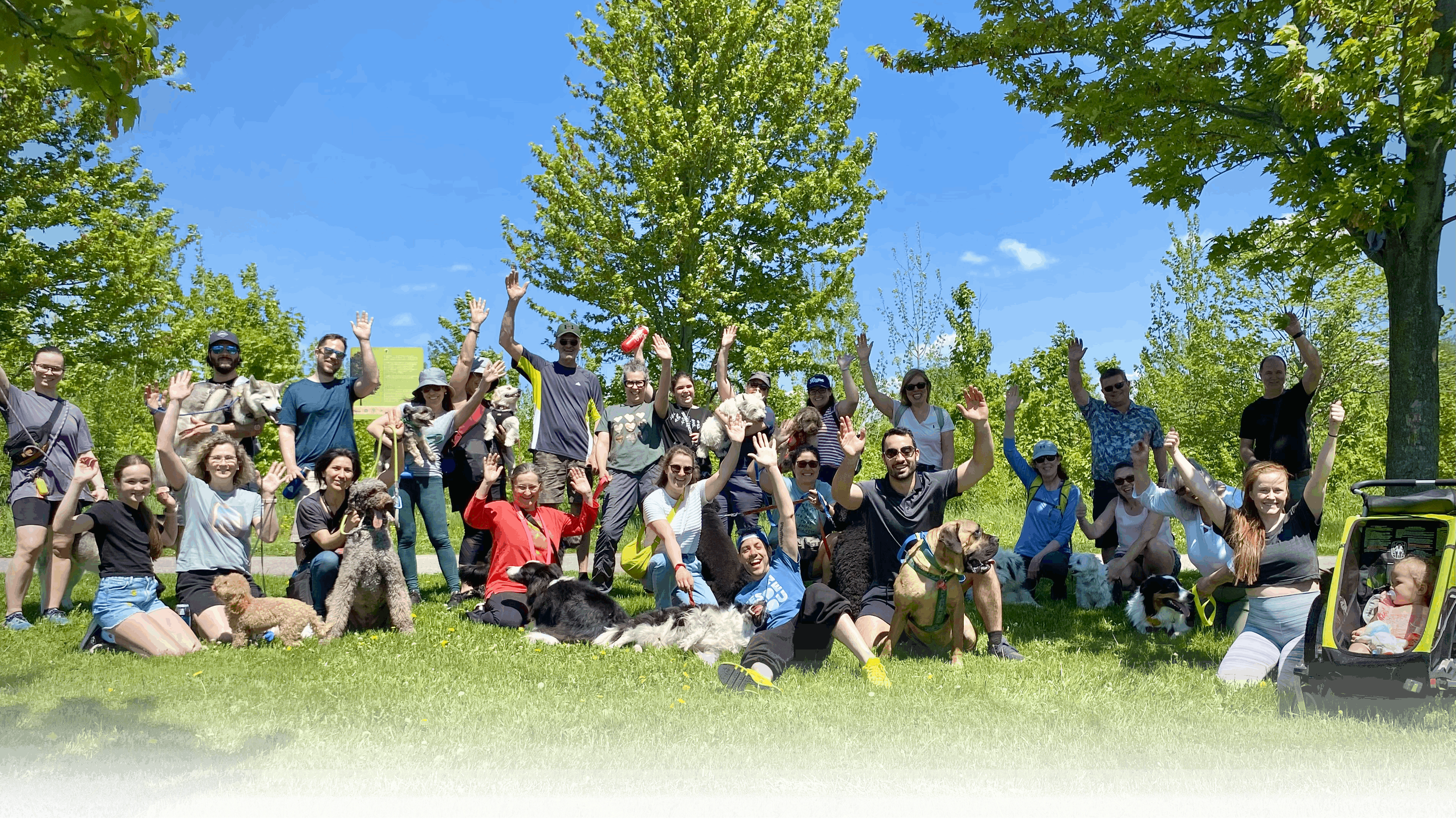 Groupe de personnes et de chiens en pleine nature, tous souriants et levant la main, sous un ciel bleu avec des arbres verts.