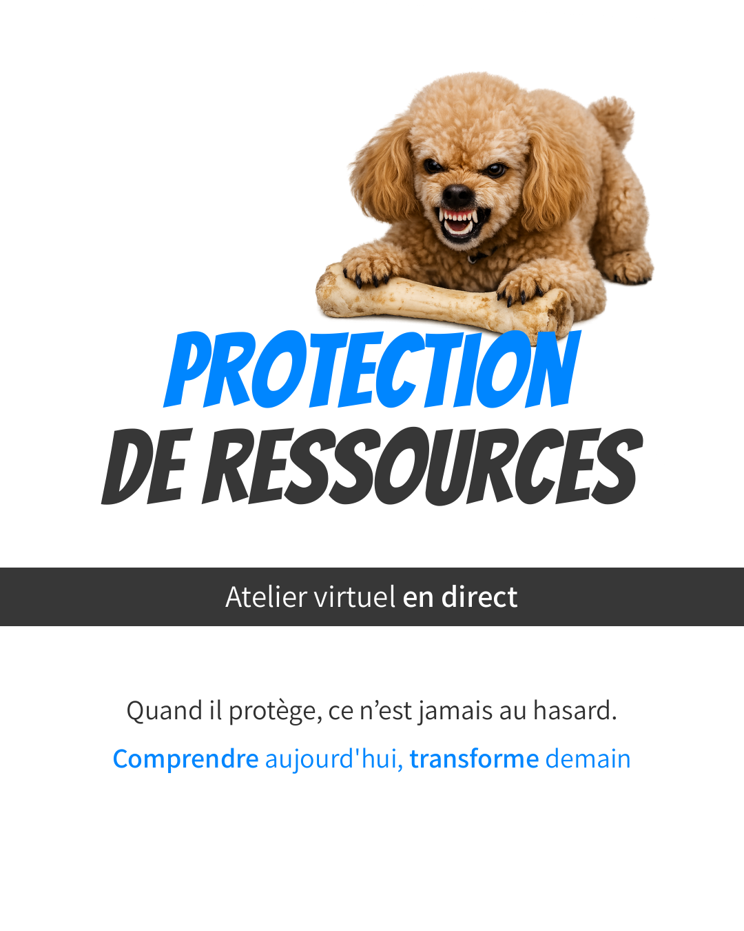 Atelier - Protection de ressources