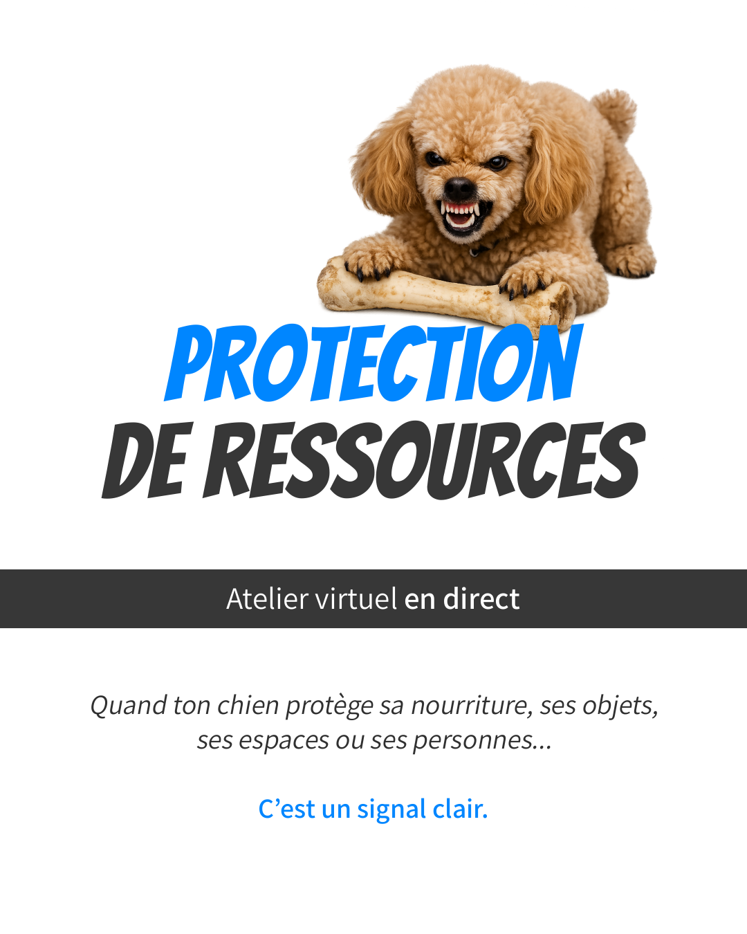 Atelier - Protection de ressources