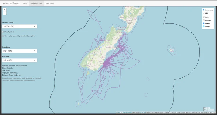 Tracking Toroa (Authentic Contexts Online) — Digital Future Aotearoa