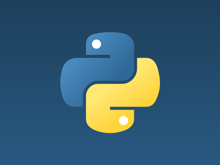 Python Resources — Digital Future Aotearoa