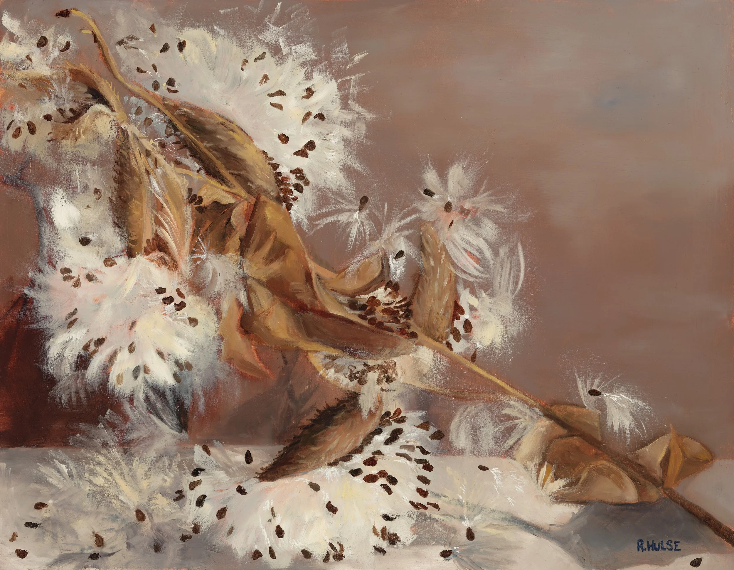 Milkweed (2023). Oil on Hardboard, 11" h x 14" w