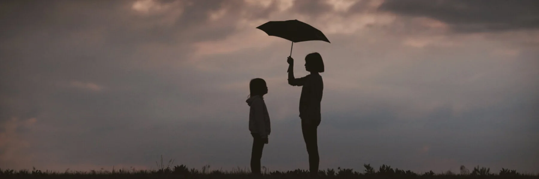Weathering the Storms