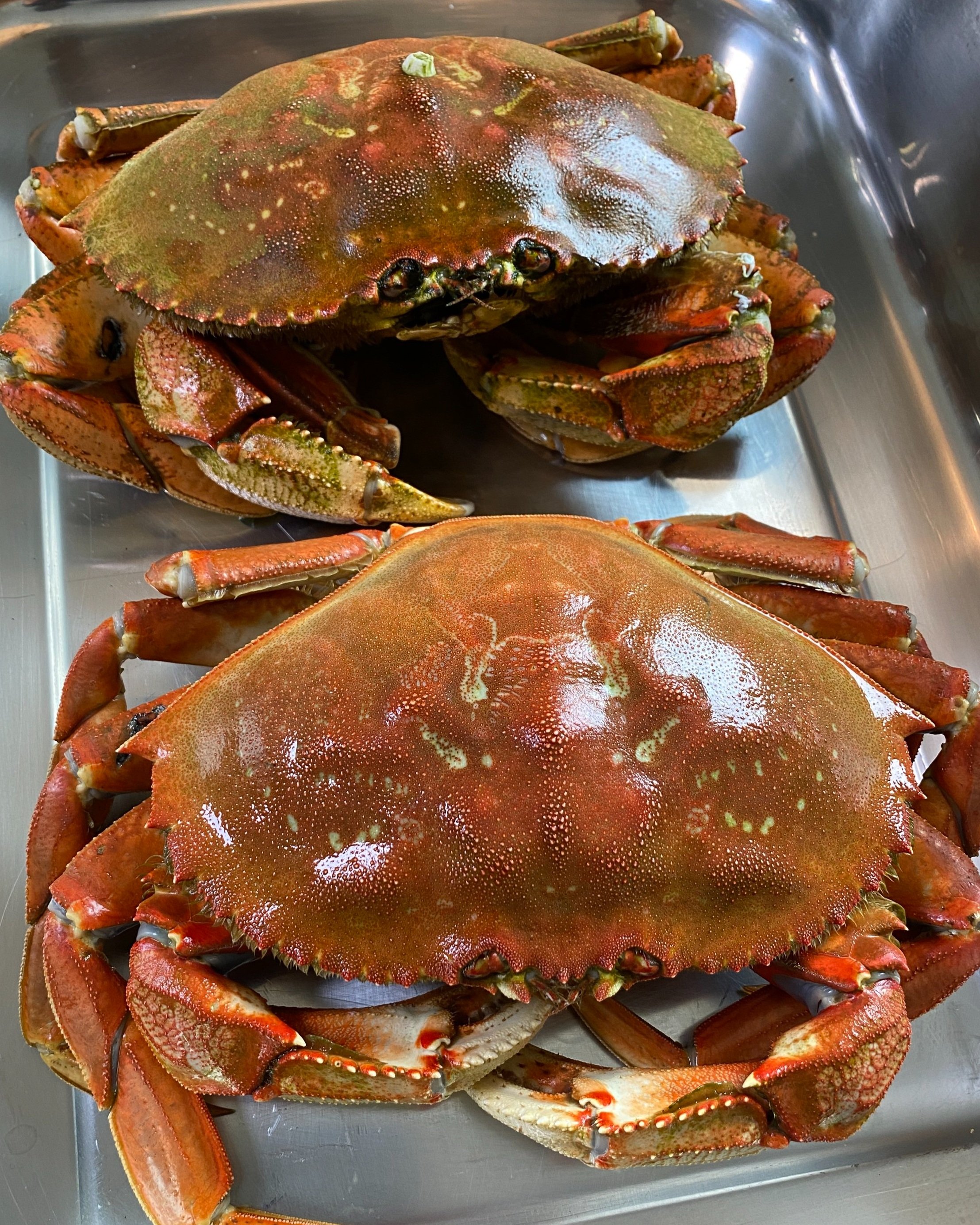 TheBrassExperience Garlic Dungeness Crabs 🦀 using @brass.cuisine