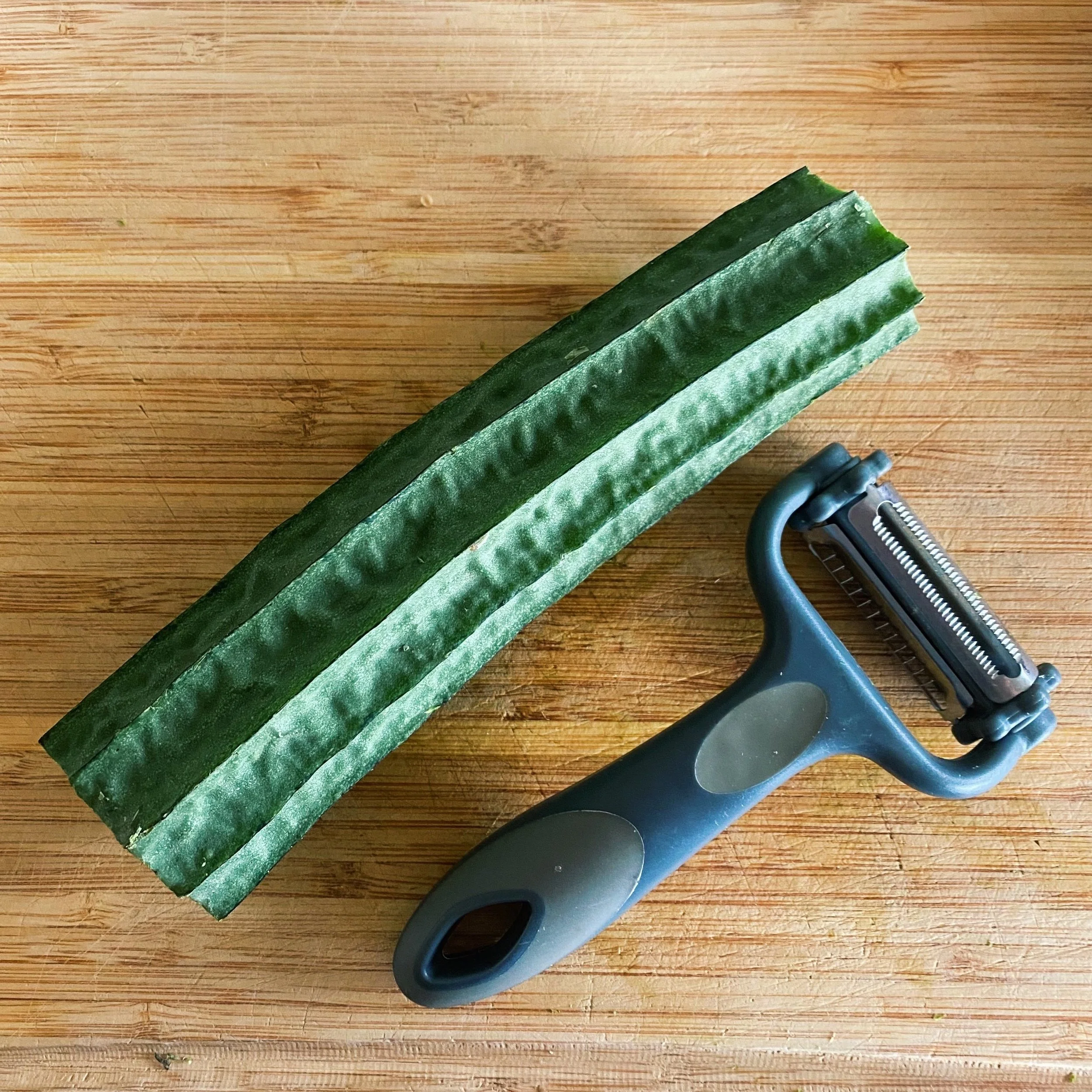 STEPS_PATOLA01.jpg