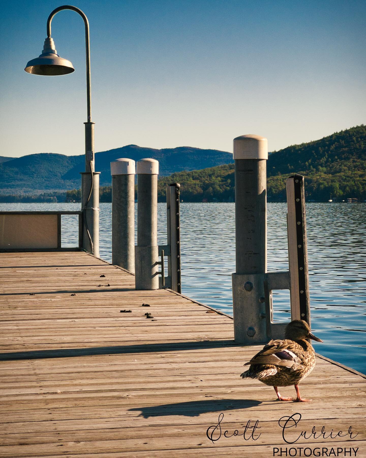 &ldquo;Nature Appreciates Nature&rdquo;
Taken at Lake George during Fall 2021.
Shot on iPhone 13 Pro Max.