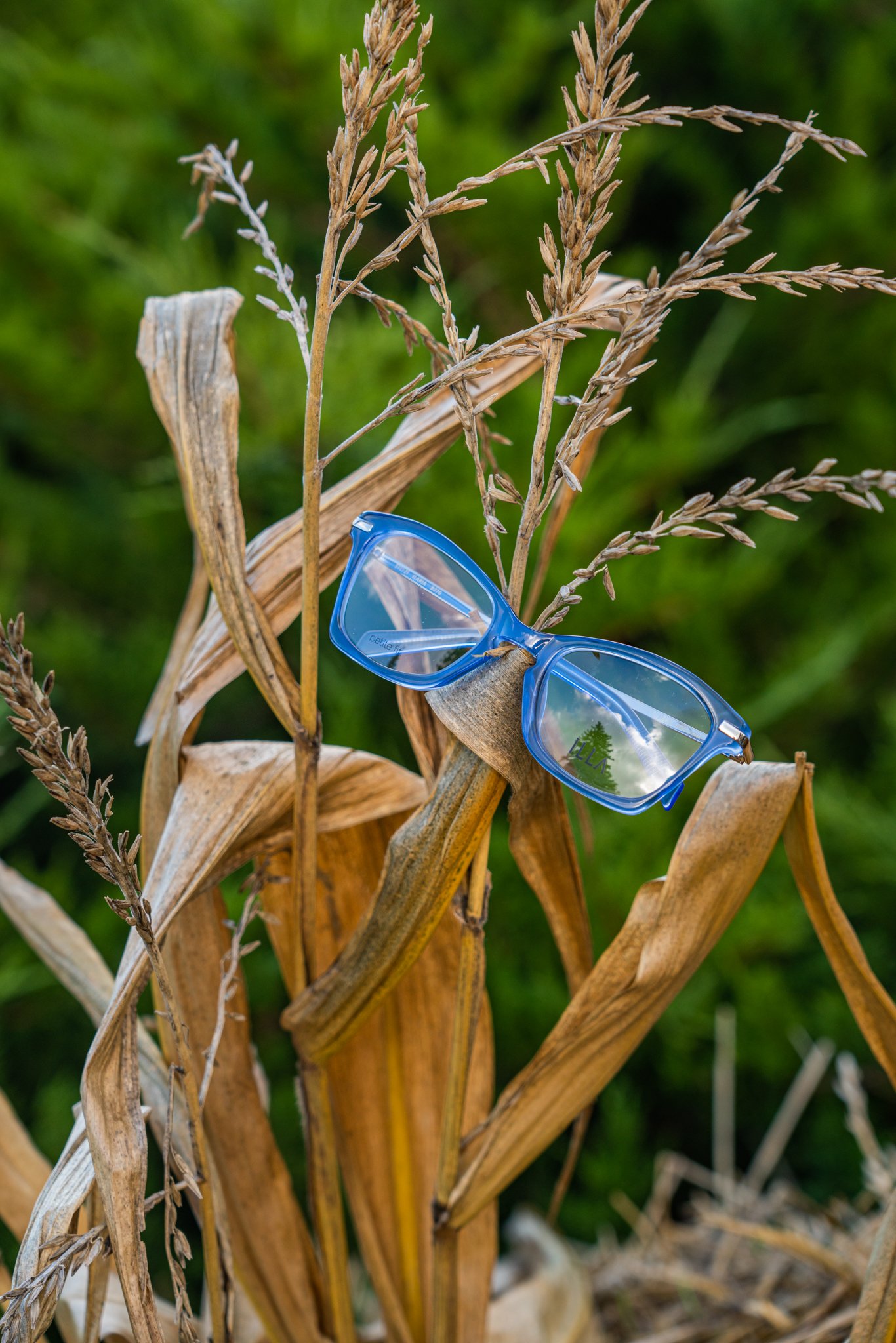 Sunglass-Shoppe-Fall--03.jpg