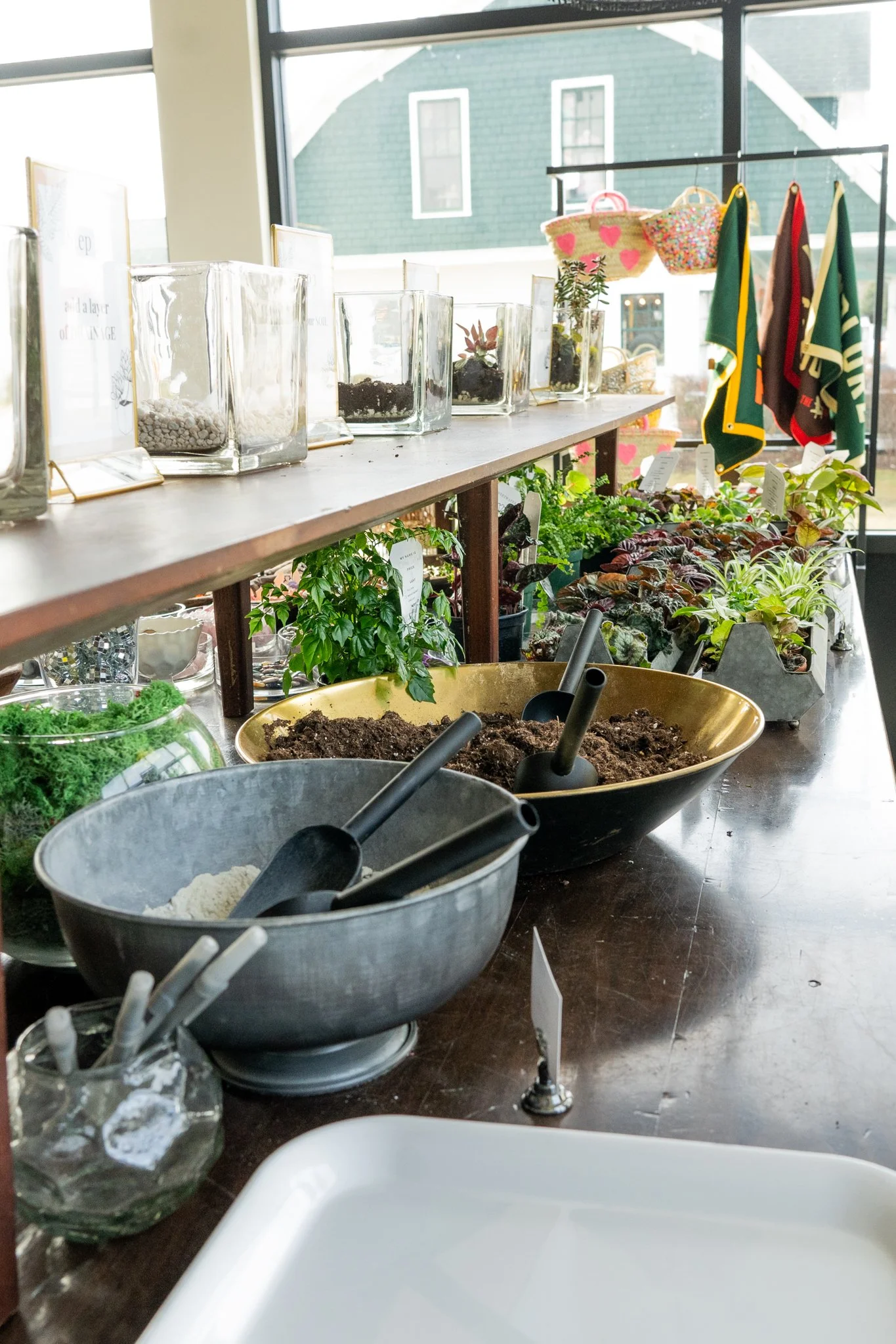 Sweetwater-Floral-Terrarium-Bar7.jpg