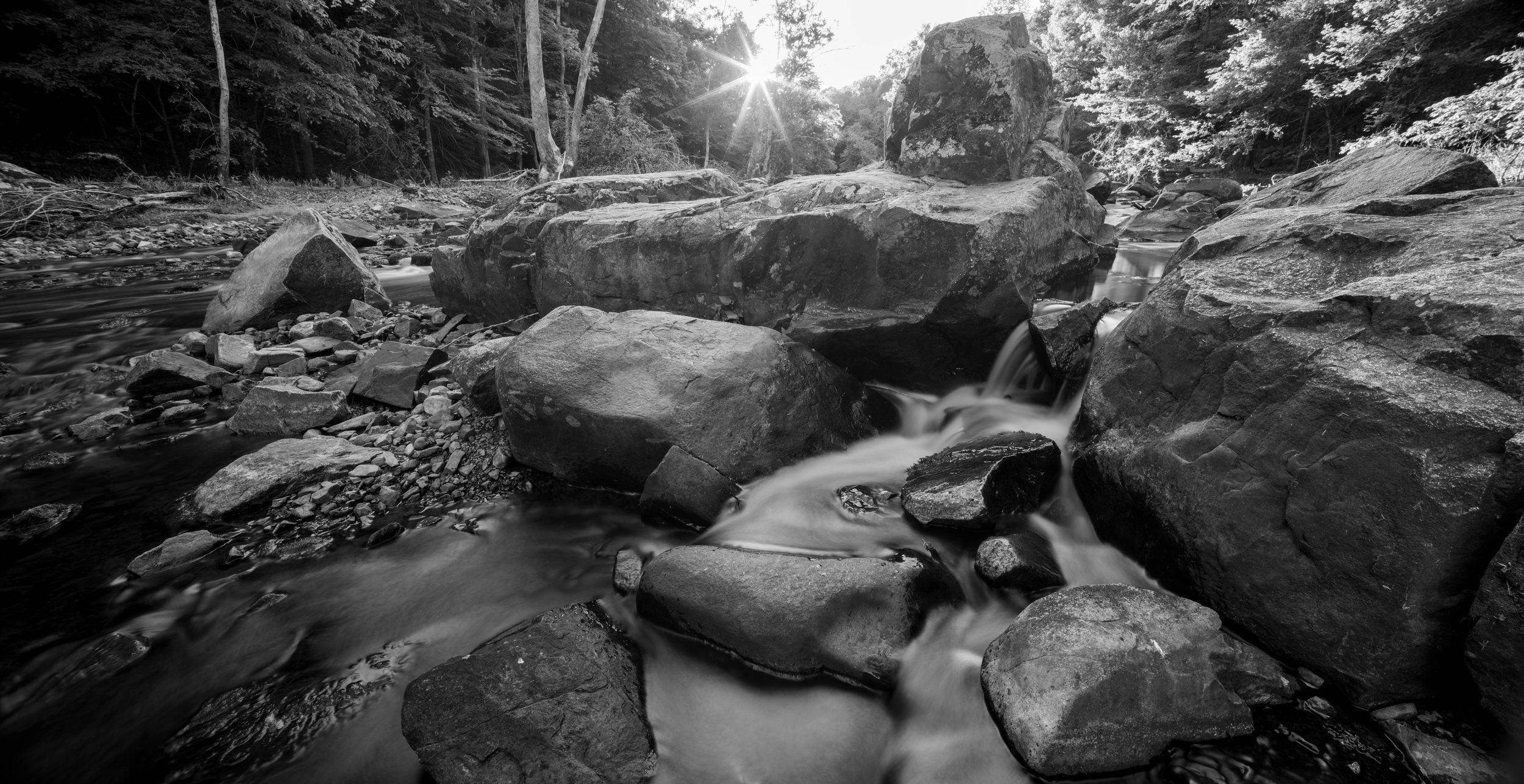2026-09-06_Eno-River_Web-site-1.jpg