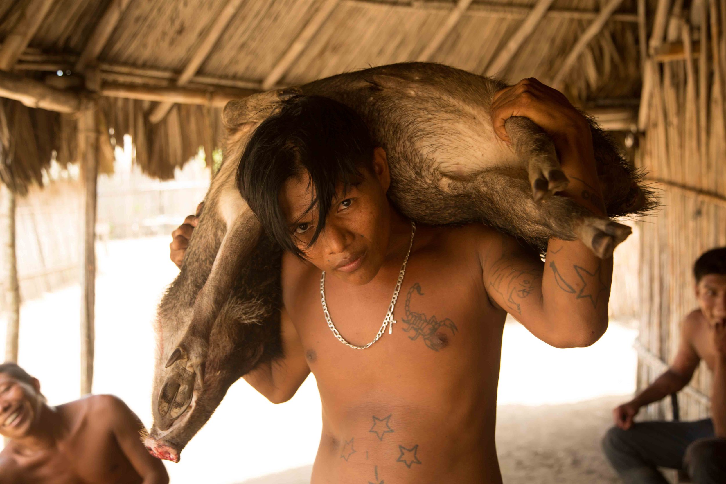 In the indigenous Guna Yala region of Panama, a hunter poses with his kill: a peccary.