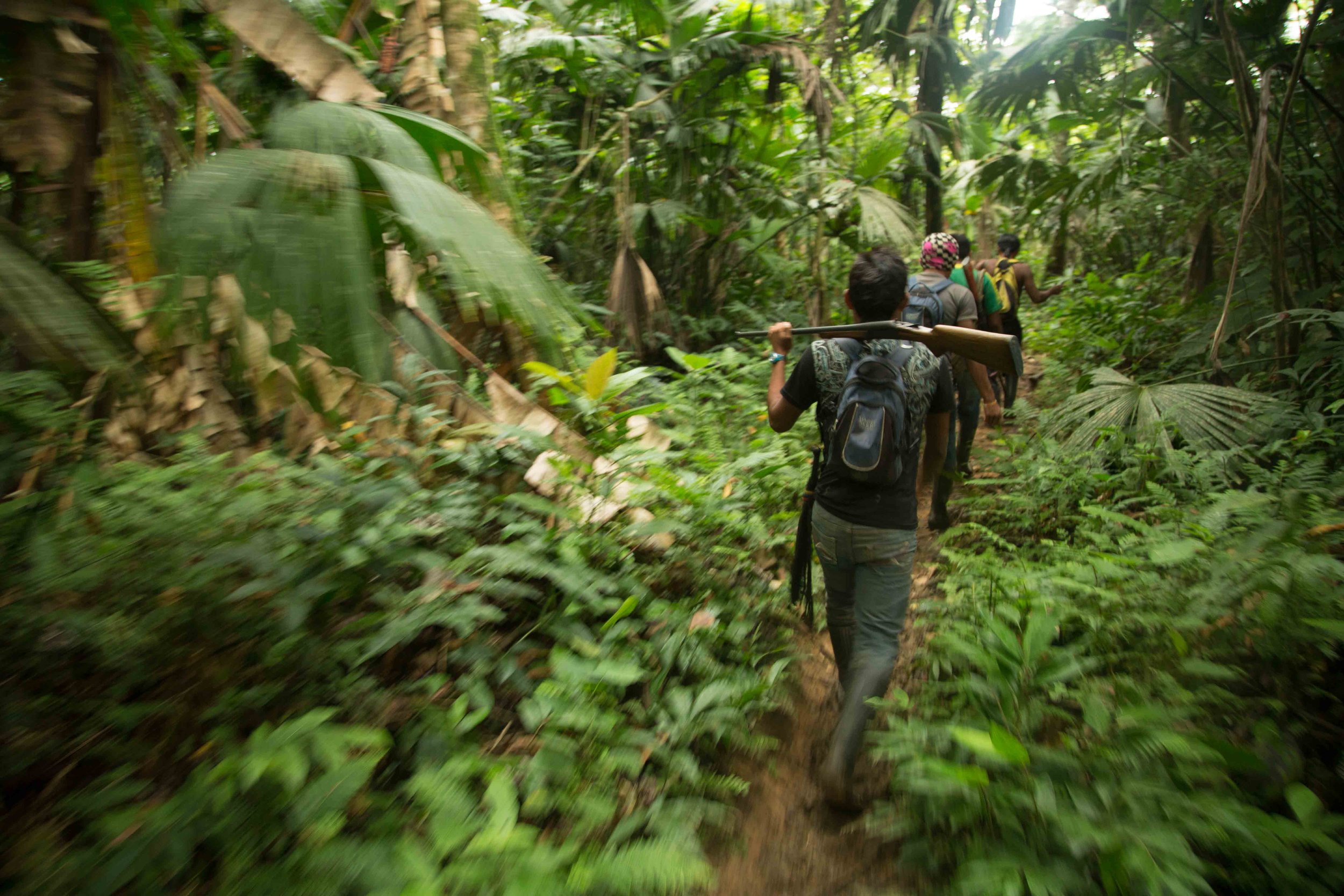 Hunters trek through the Darién Rainforest in the indigenous Guna Yala region of Panama. The intersection of indigenous and Latino cultures in this village is the subject of my film, Armila.