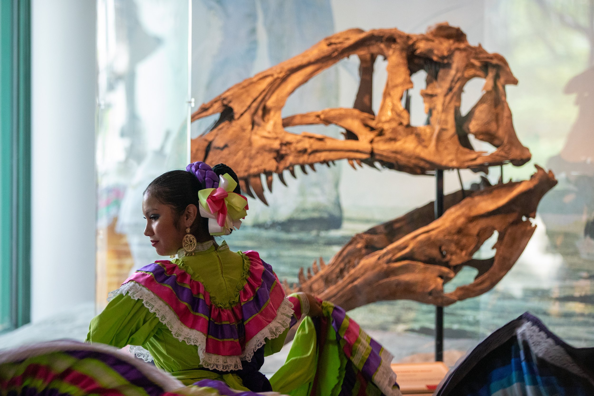 A dancer twirls her dress in front of a fossilized dinosaur skull at "Dia de la Ciencia y la Cultura" at the North Carolina Museum of Natural Sciences.