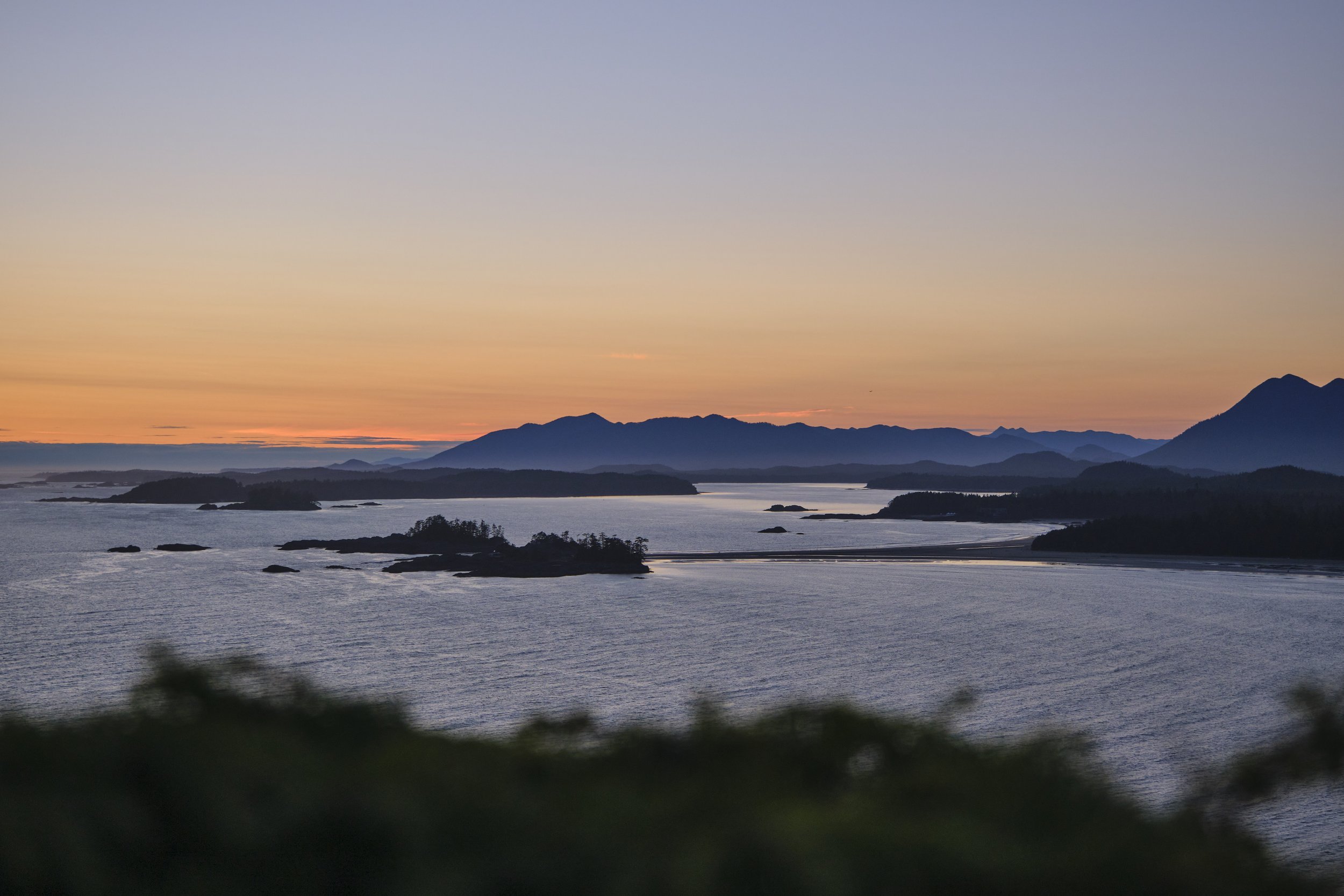 DSCF6856.jpg