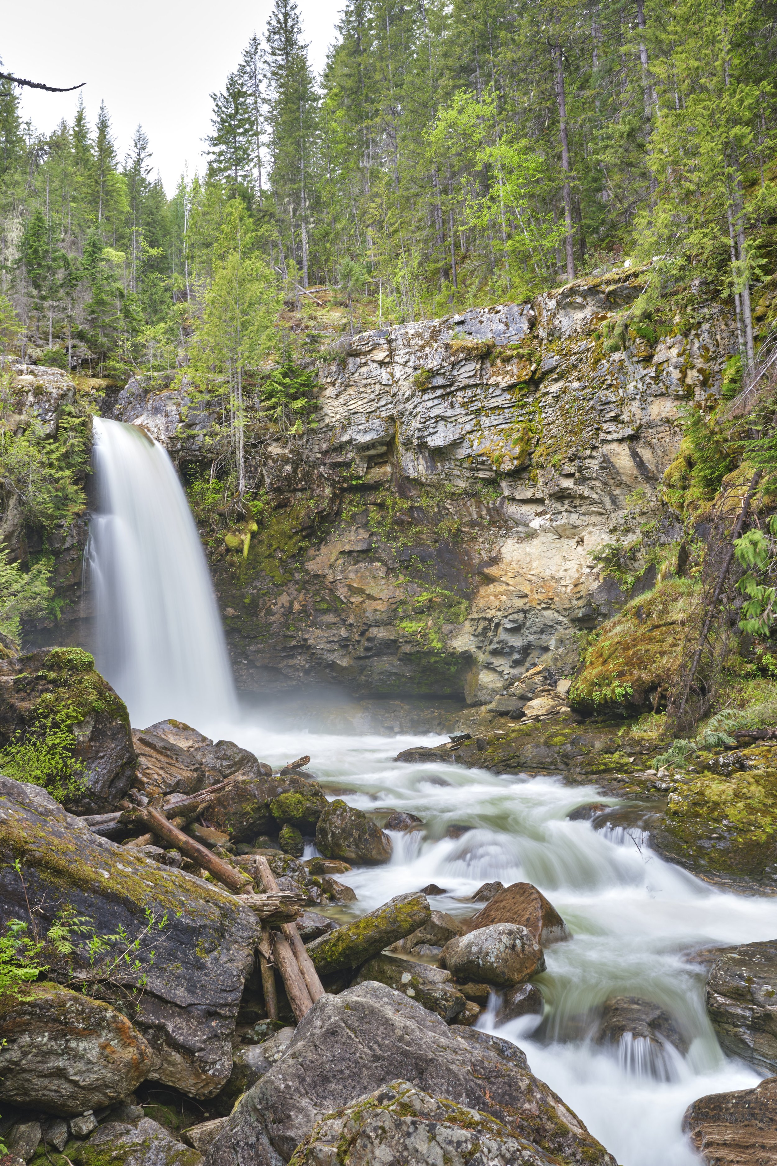 DSCF8647.jpg