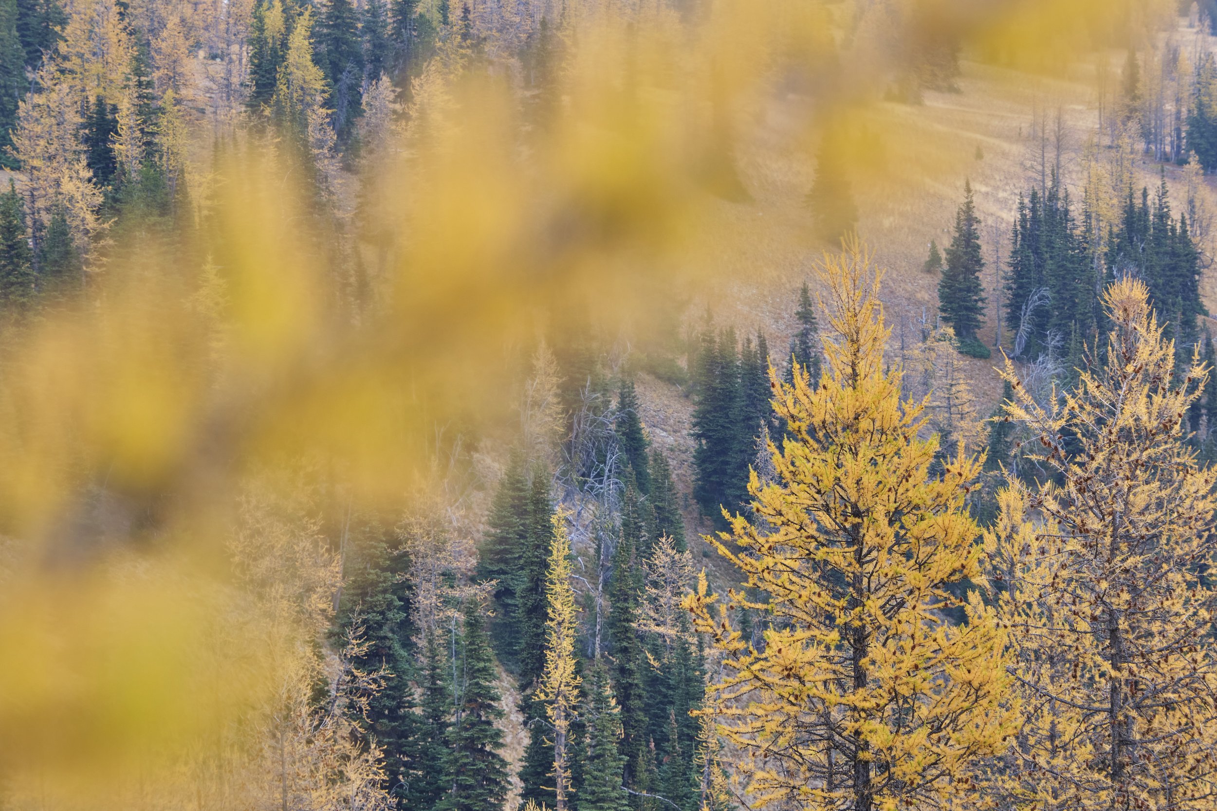 DSCF9490.jpg