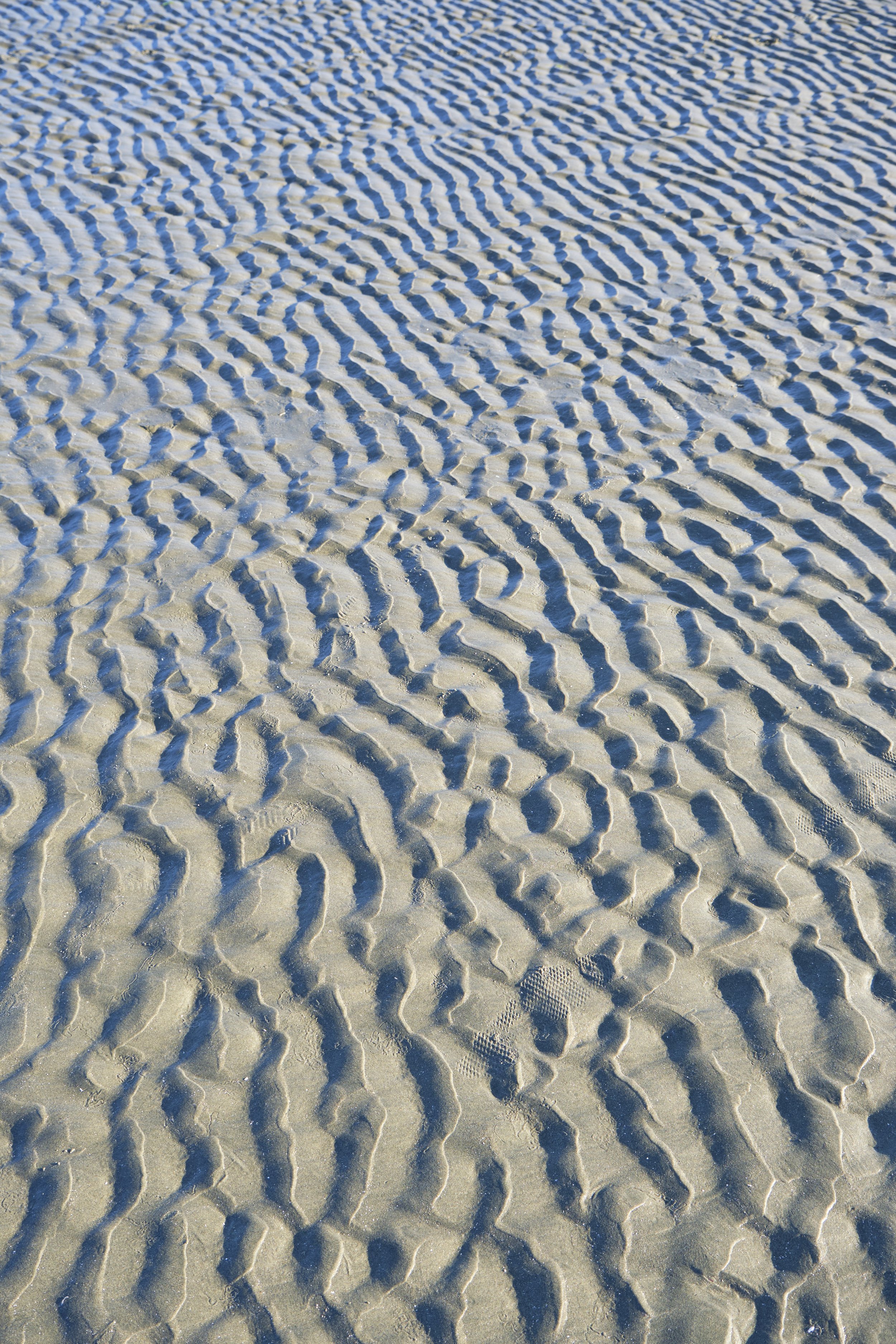 DSCF6630.jpg