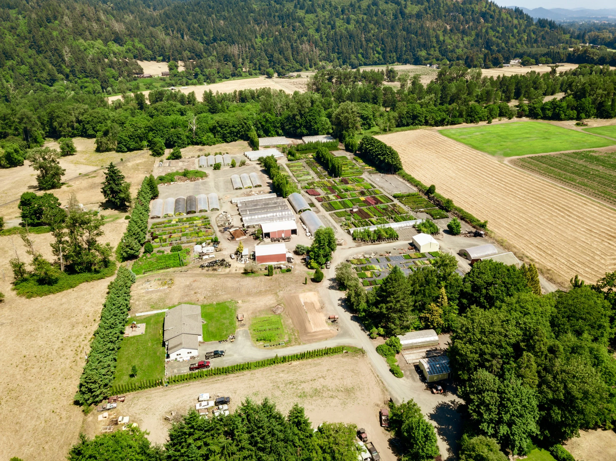 NurseryNet & Armitage Commercial Nursery / September 2026