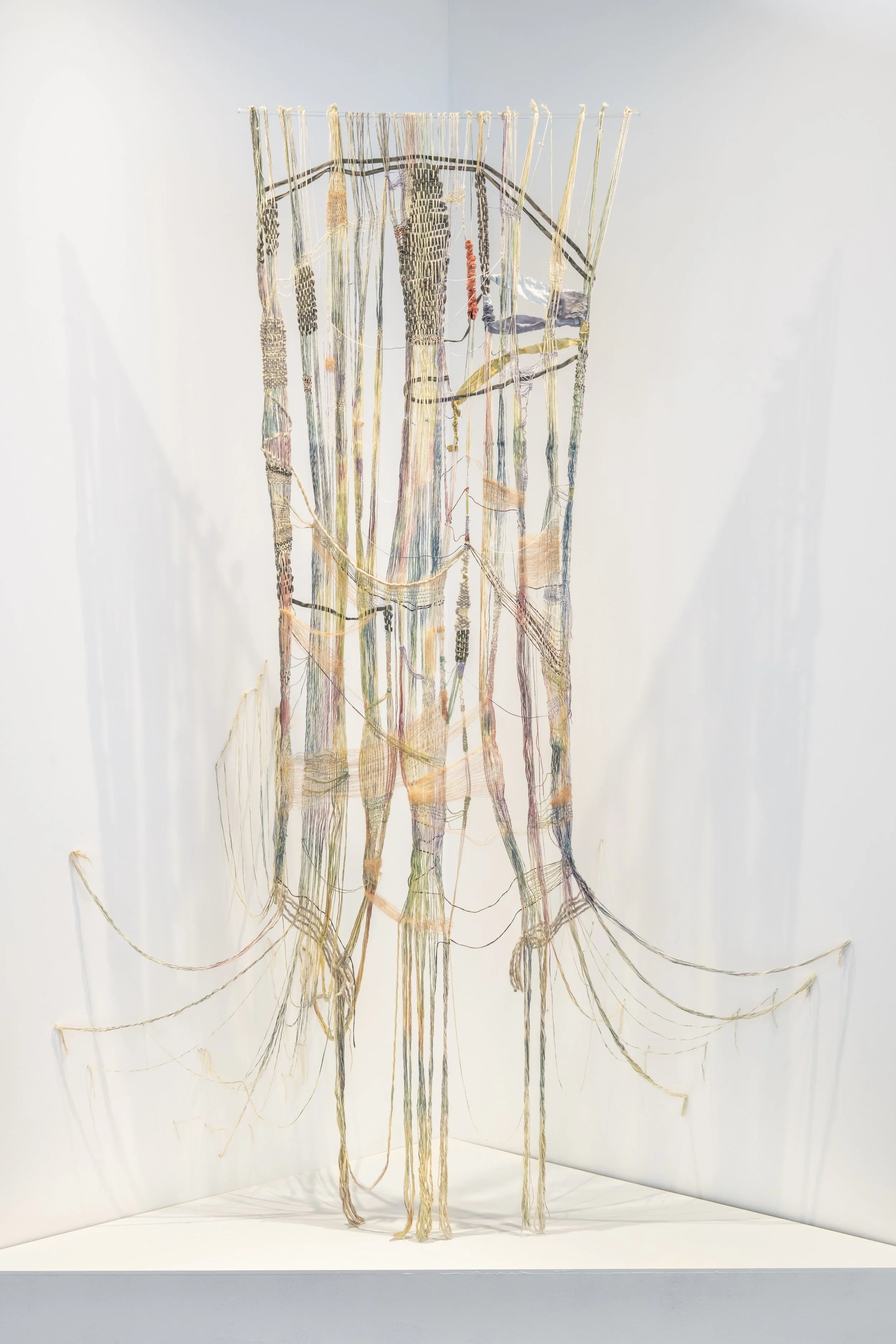 Ascenso leal ( Loyal ascent) 
Cotton, linen, and wool dyed with marigold and  brazilwood, watercolor and other interventions, 10 x 3 feet, 2025