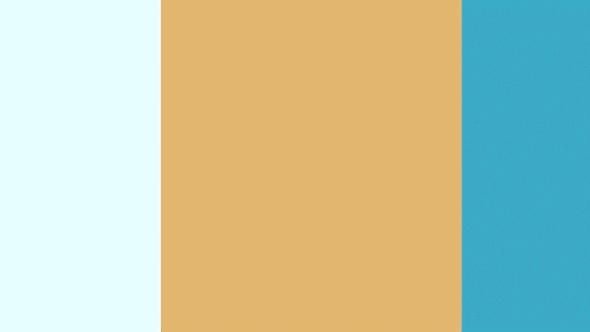 c3.gif