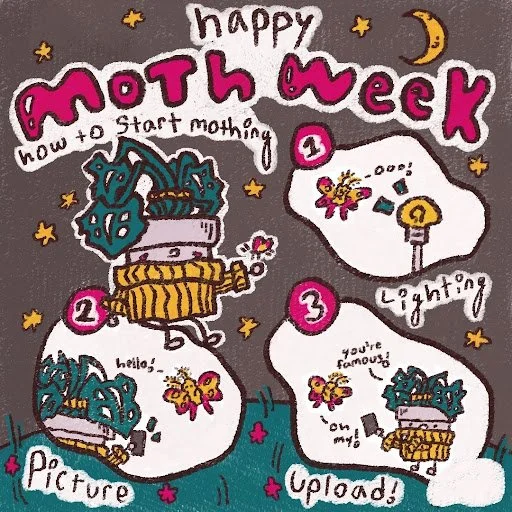 Fun Facts About Moths!