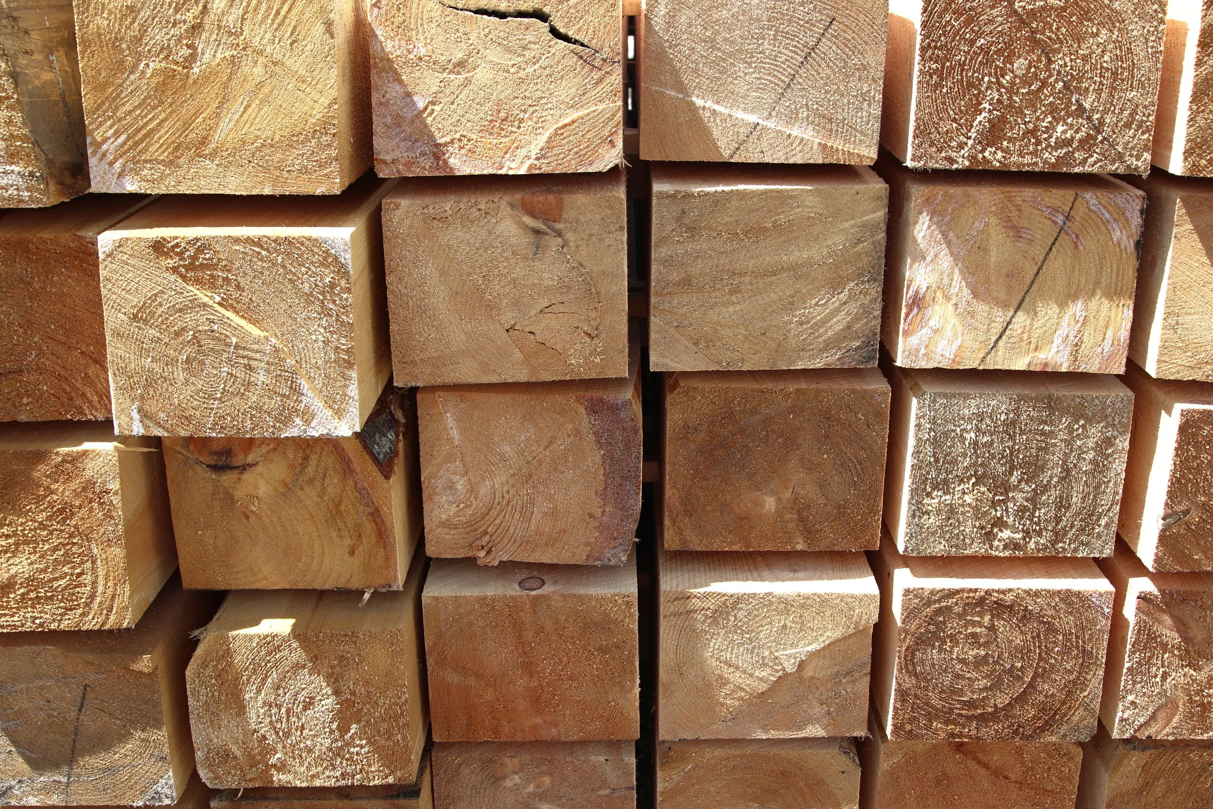 IMG_6389 PIETTE SAWMILL.JPG