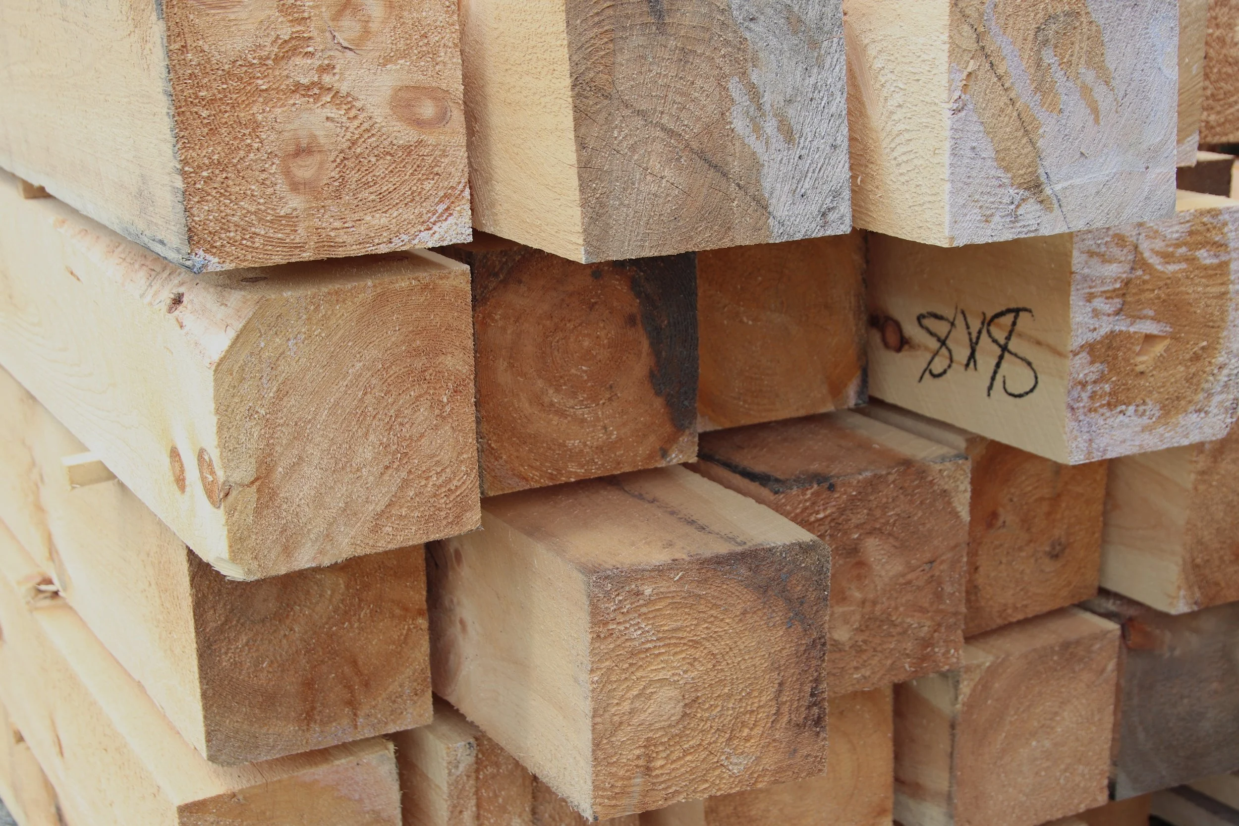 IMG_6385 PIETTE SAWMILL.JPG